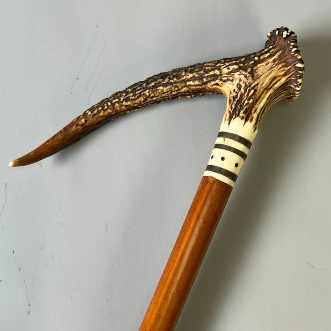 Walking stick - Antique hunting cane with antler-handled grip and bone collar