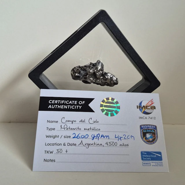 Campo del Cielo meteorite Iron meteorite - Height: 40 mm...