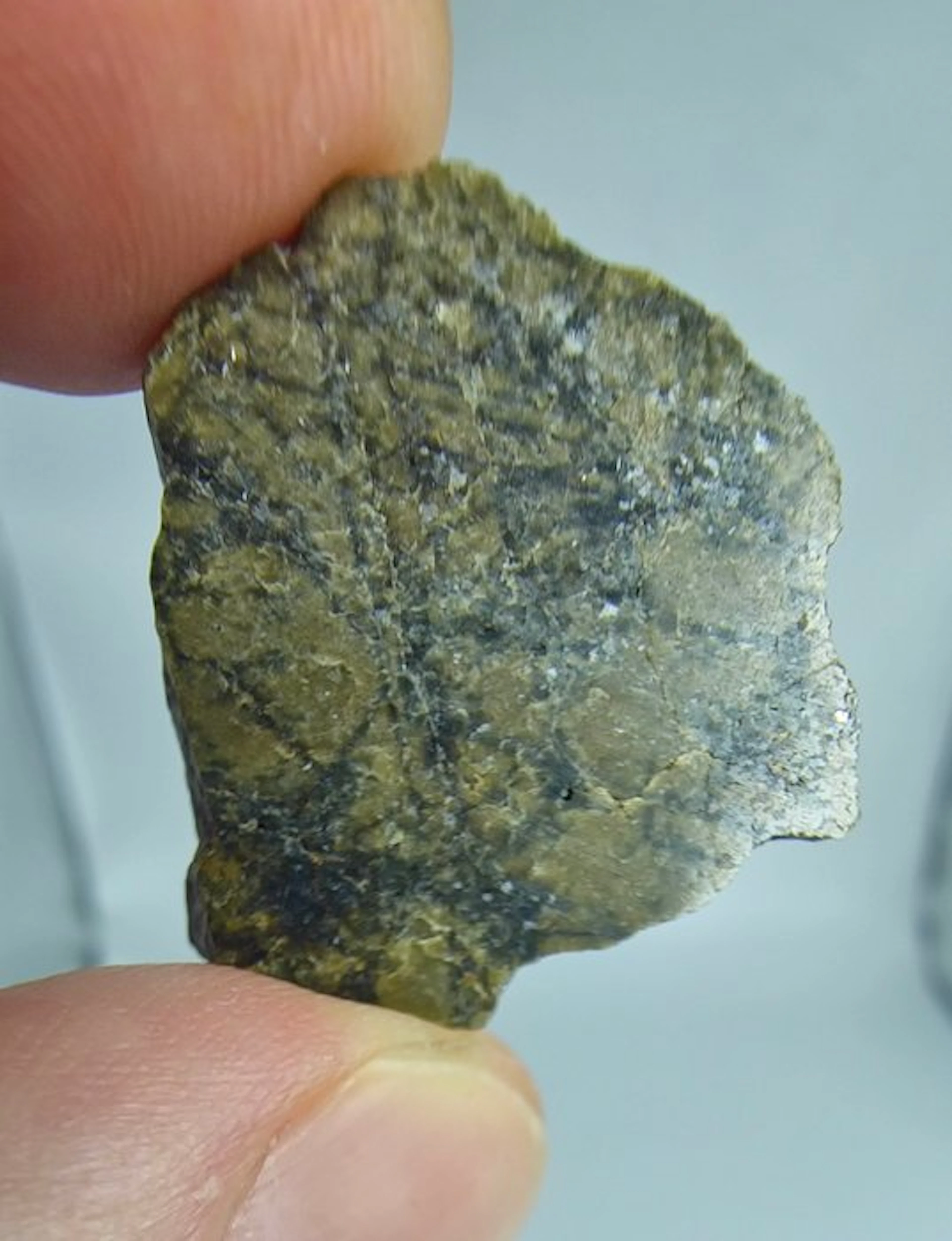 Diogenite. Ain Ben Tili 007. Achondrite HED, - 7.87 g - (1)