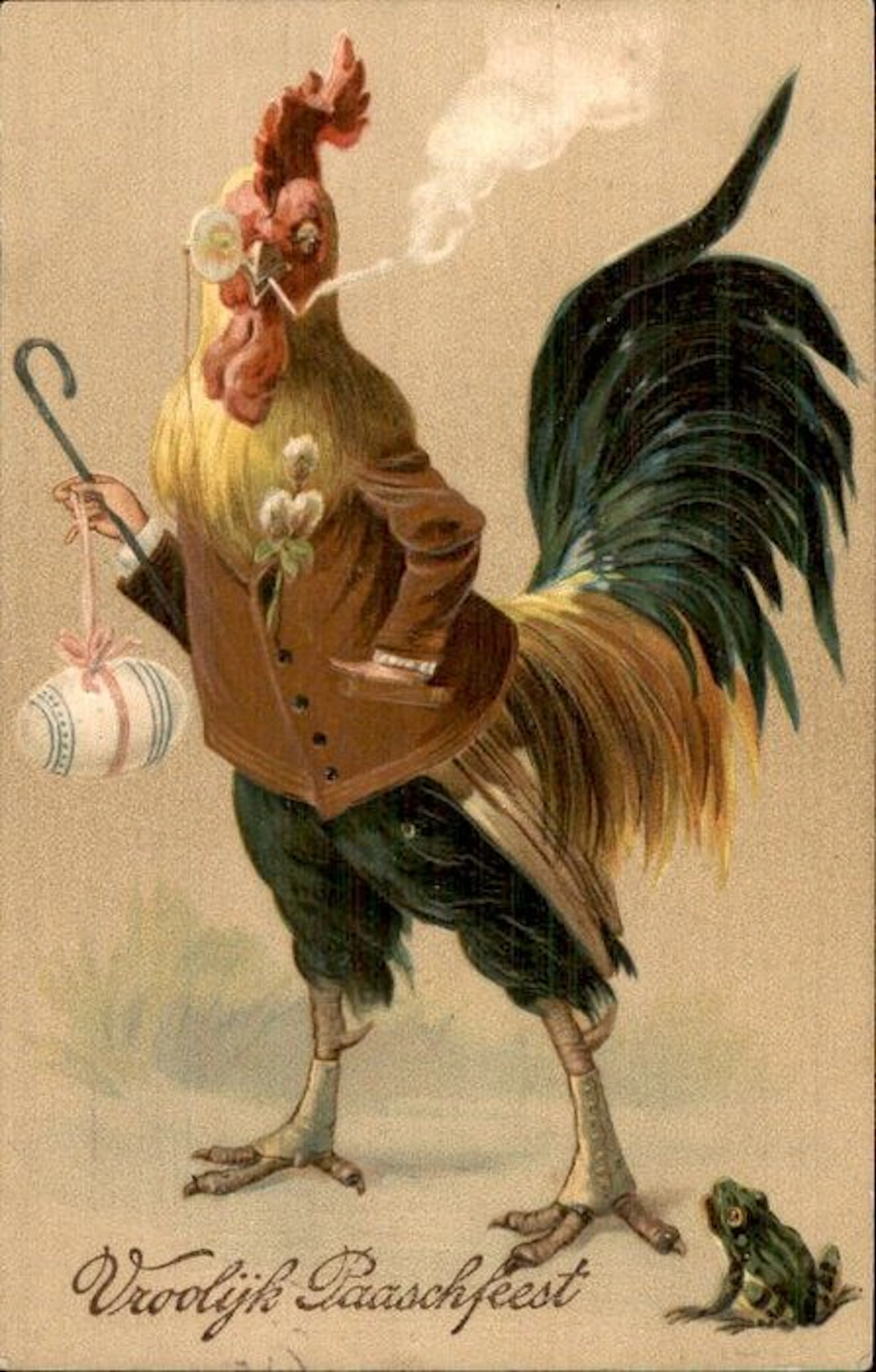 Chickens and chicks - Postcard (14) - 1900-1999