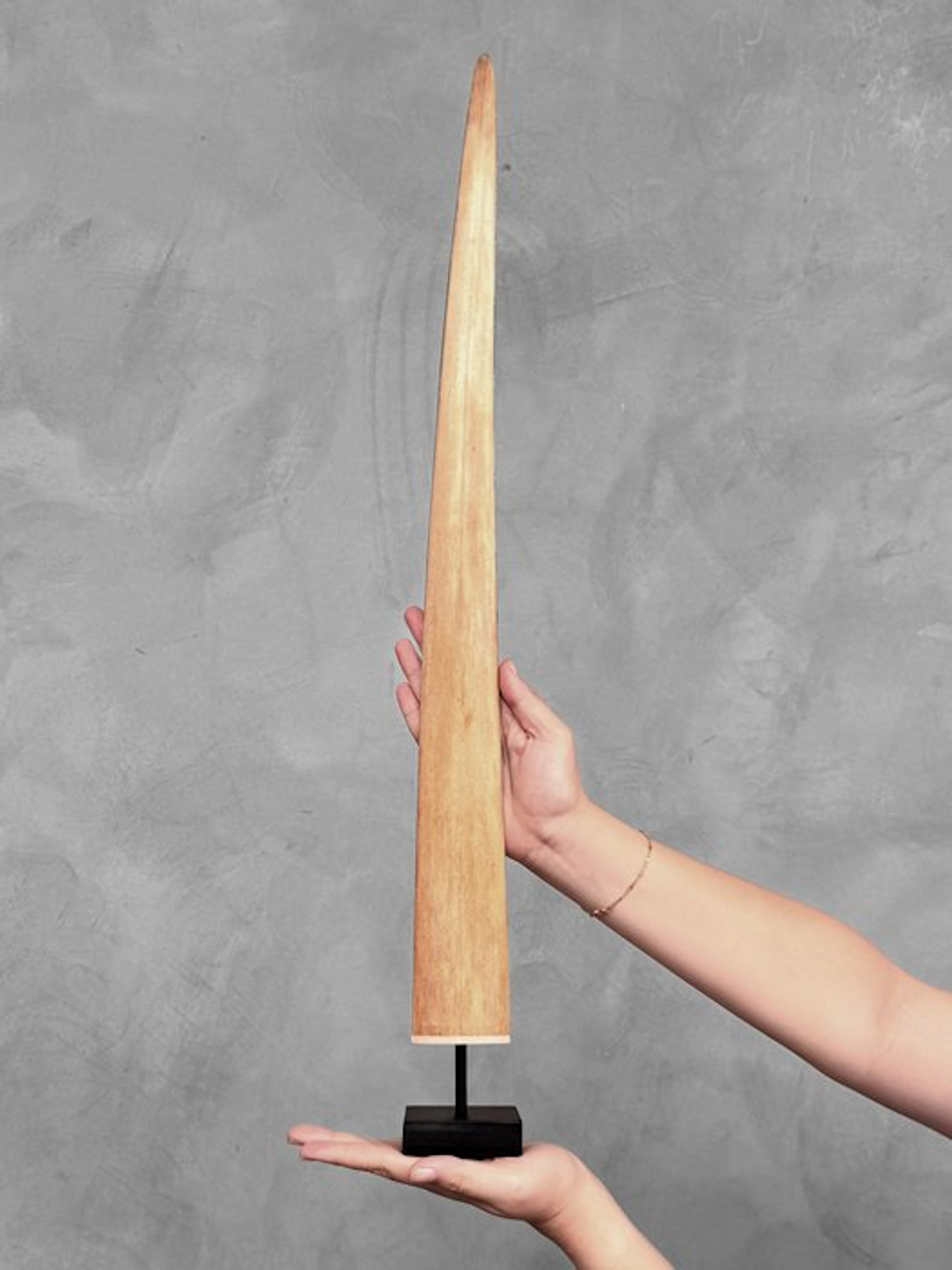 NO RESERVE PRICE - Stunning Large Swordfish Rostrum...