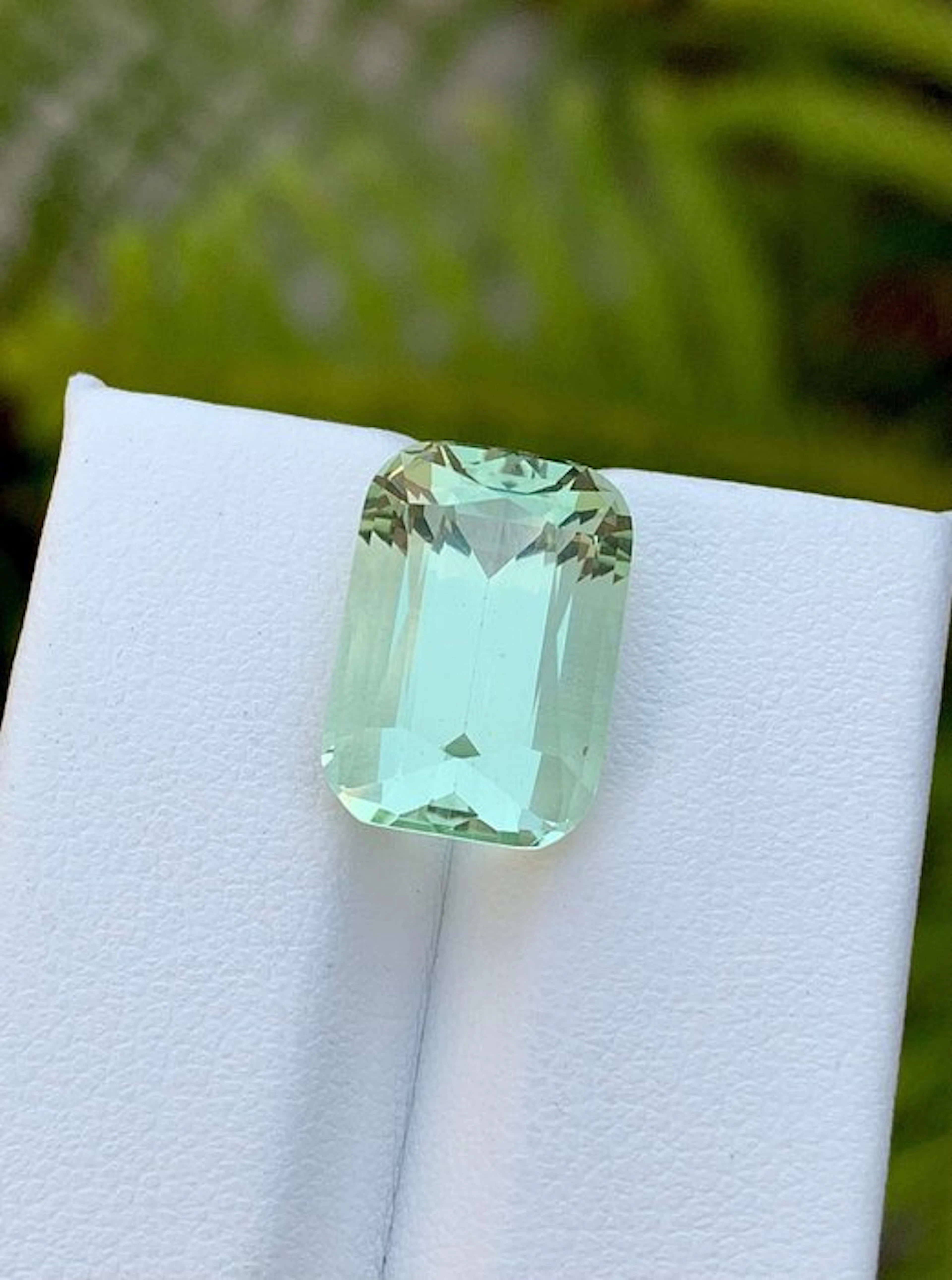 No reserve price - 1 pcs Beryl - 8.34 ct - International...