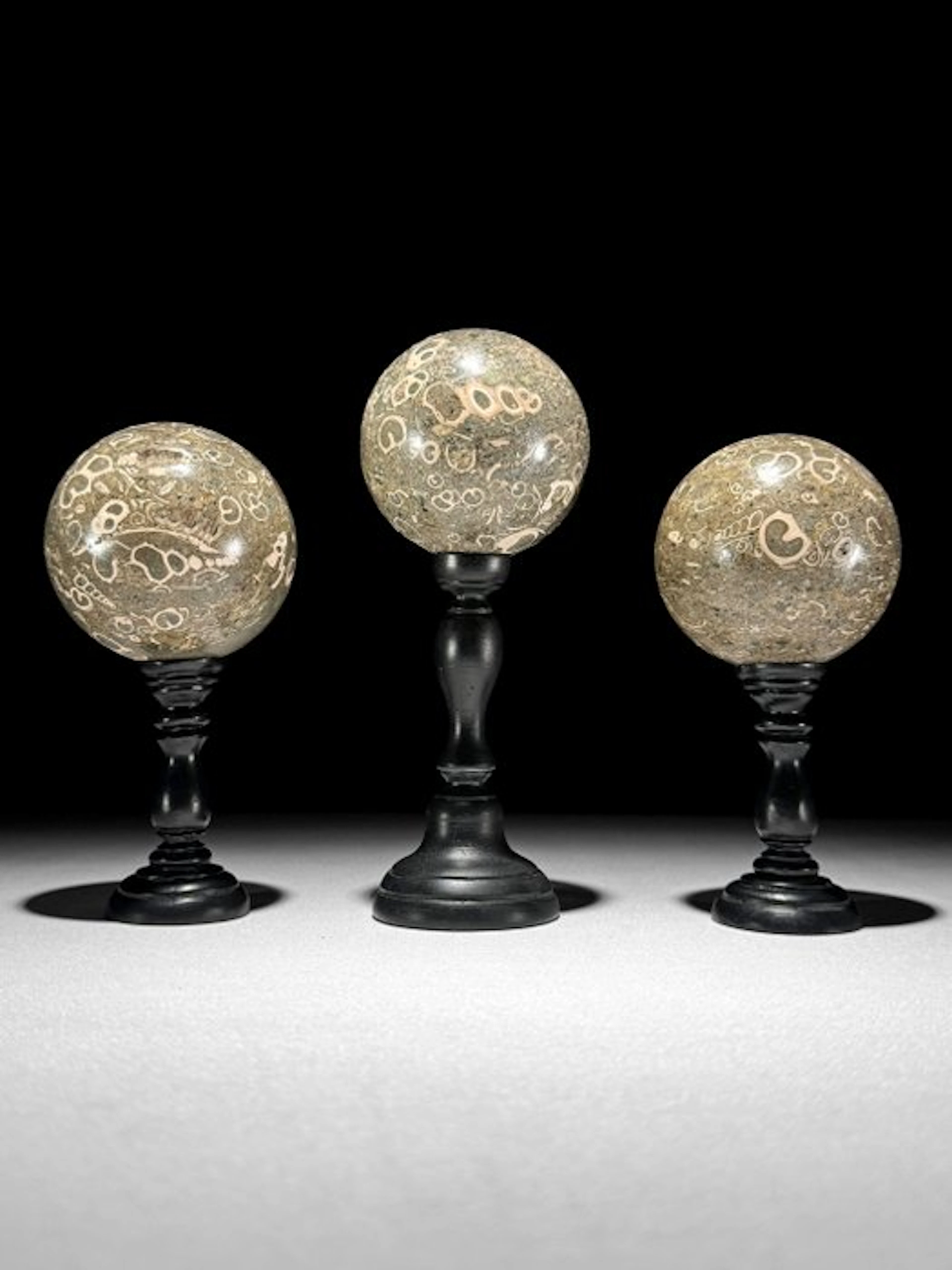 Wonderful set of 3 Turritella- Spheres on custom stands...