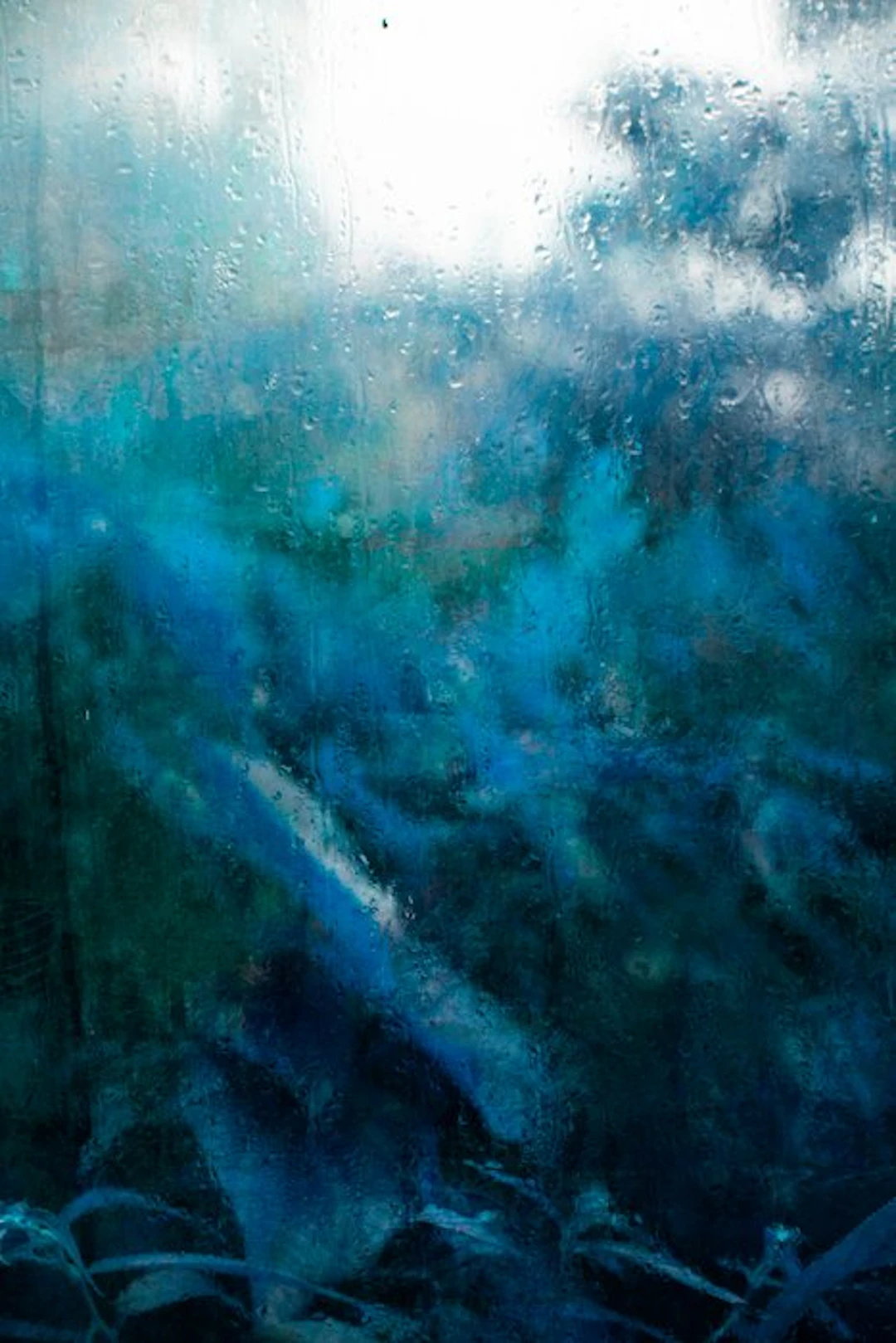 Viet Ha Tran - Colors of the rain VIII