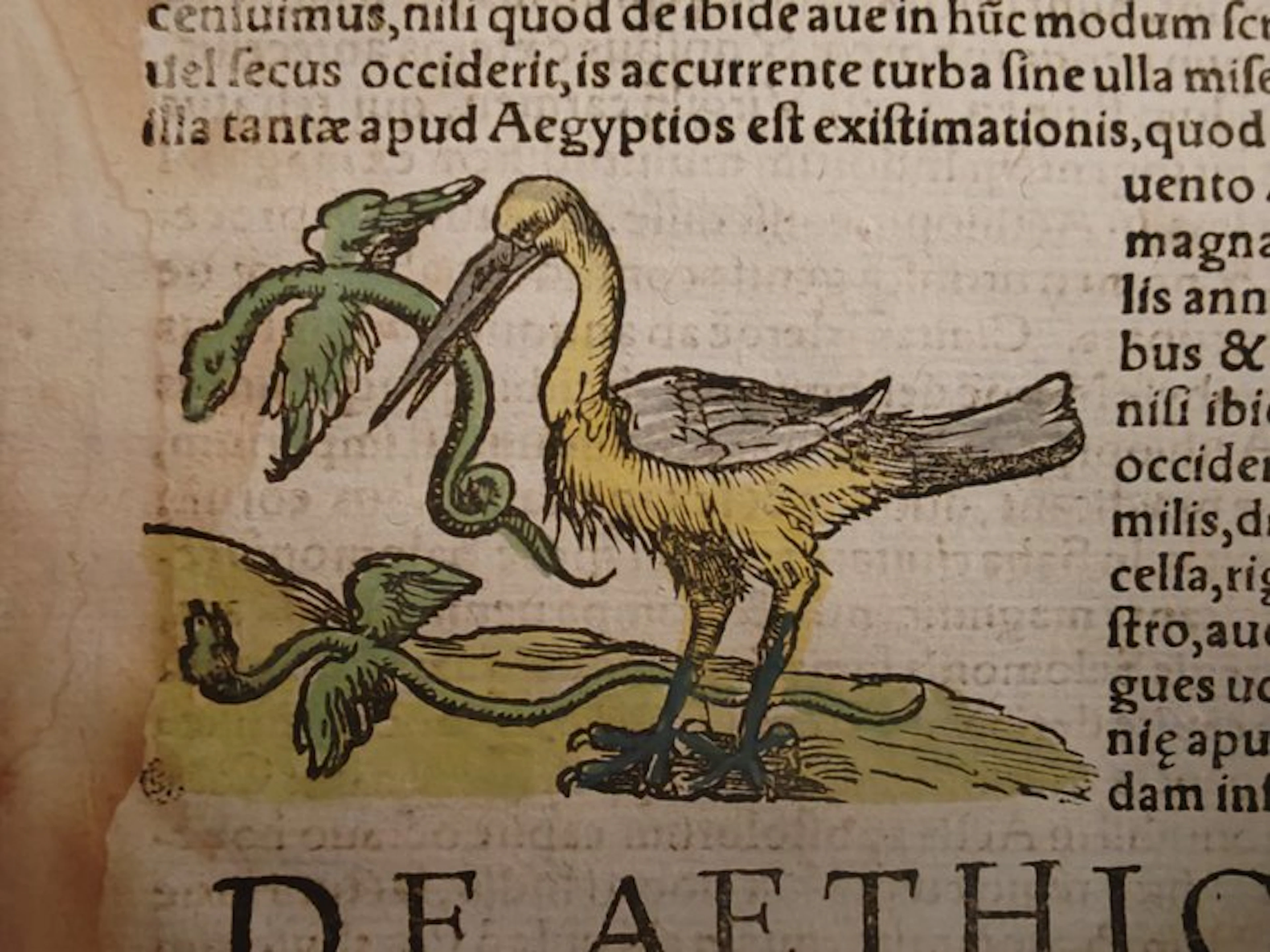 Sebastian Münster (1489–1552) - Cosmographia Universalis...