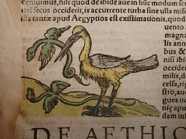 Sebastian Münster (1489–1552) - Cosmographia Universalis...
