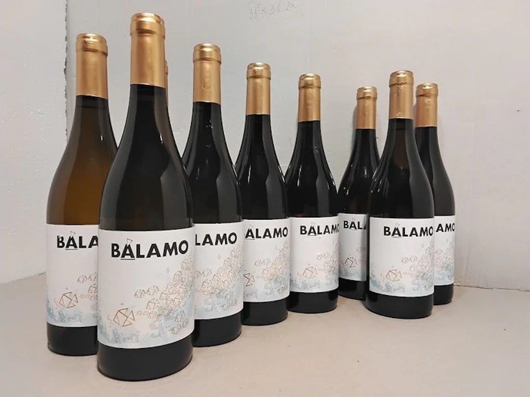 Vinigalicia, Balamo - Rias Baixas CVC - 12 Bottles (0.75L)