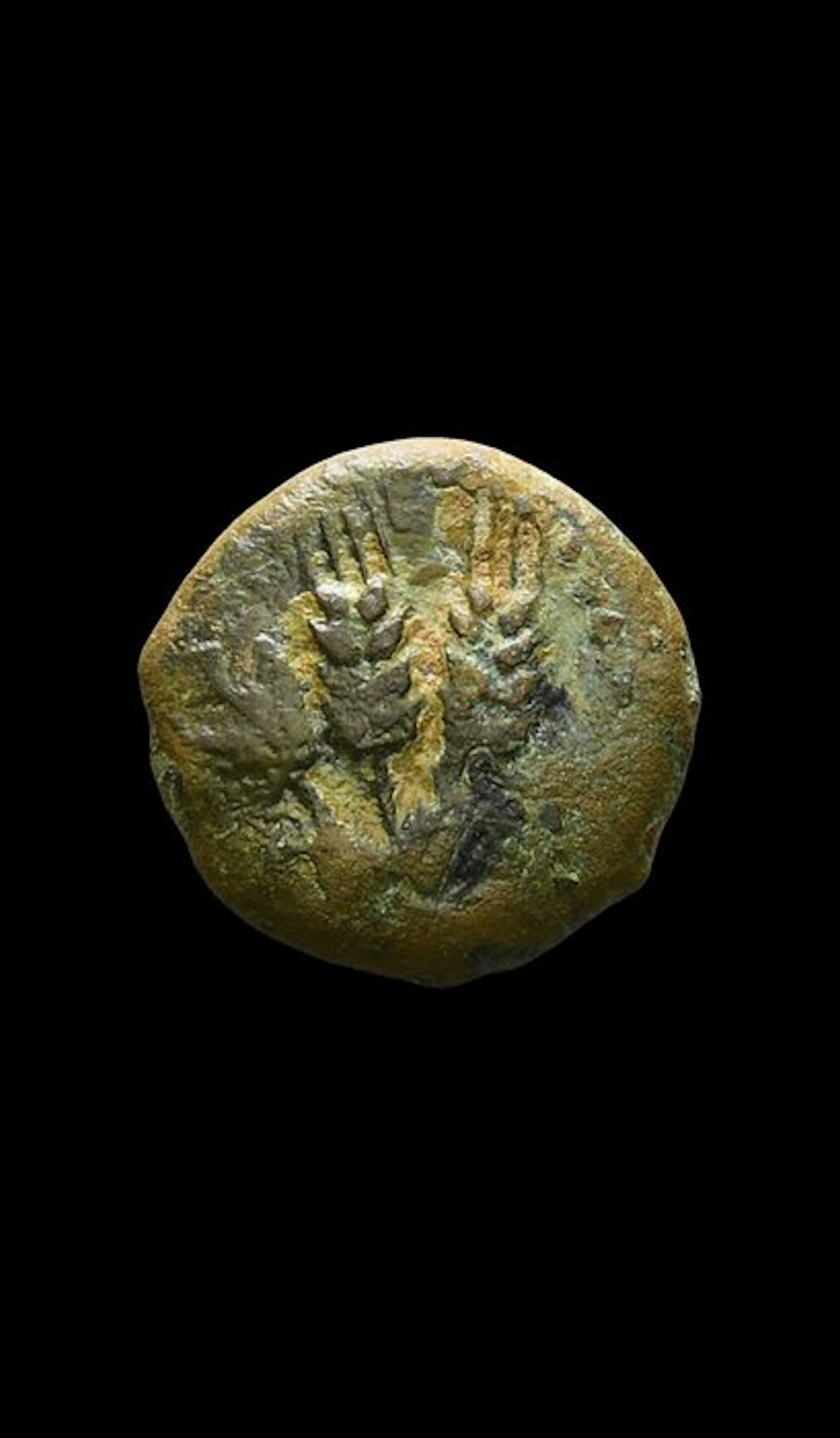 Judea, Herodian Kingdom. Herod Agrippa I (37-44 AD). Prutah (No reserve price)