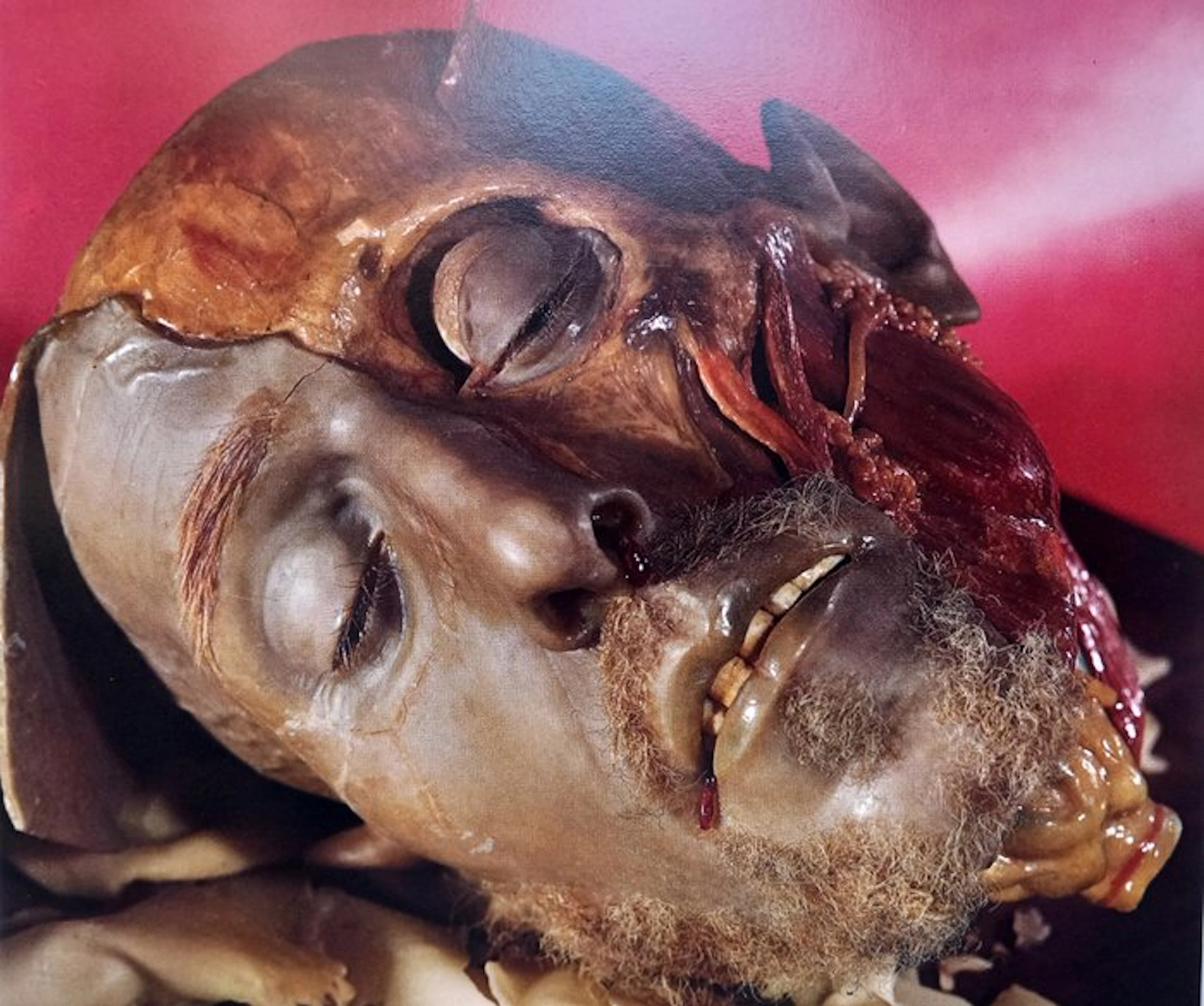Bucci - Anatomia come arte - 1969