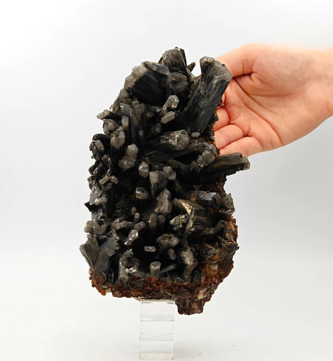 Huge 20 cm