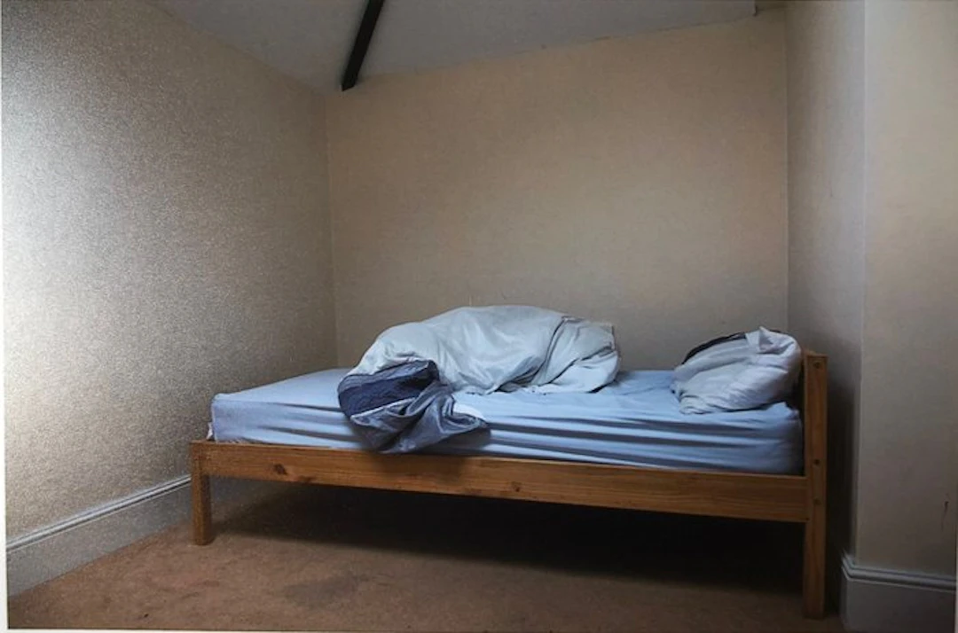 Susan Meiselas - A view of a room
