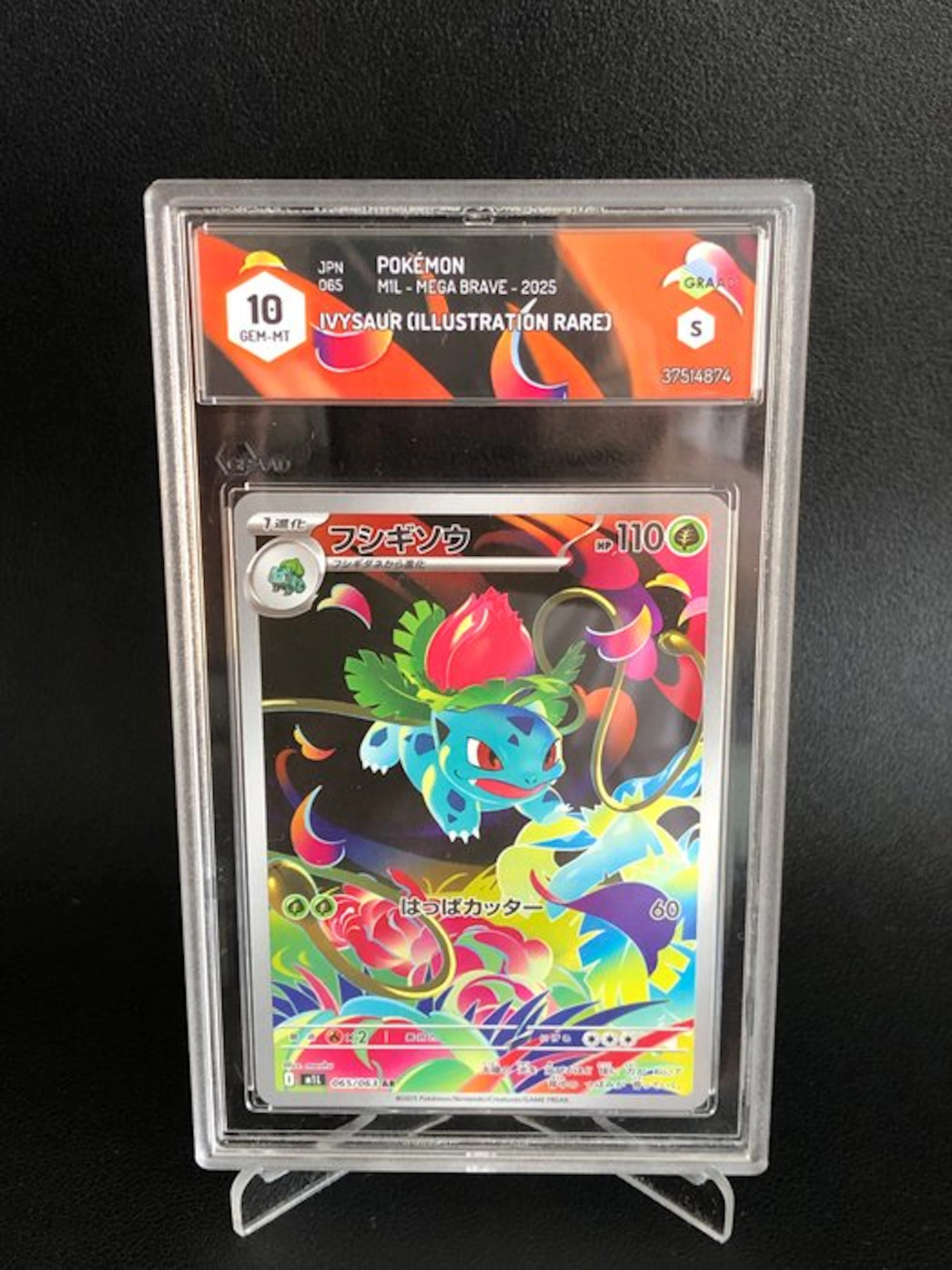 Pokémon - 1 Graded card - Ivysaur JPN 065/063 Foil