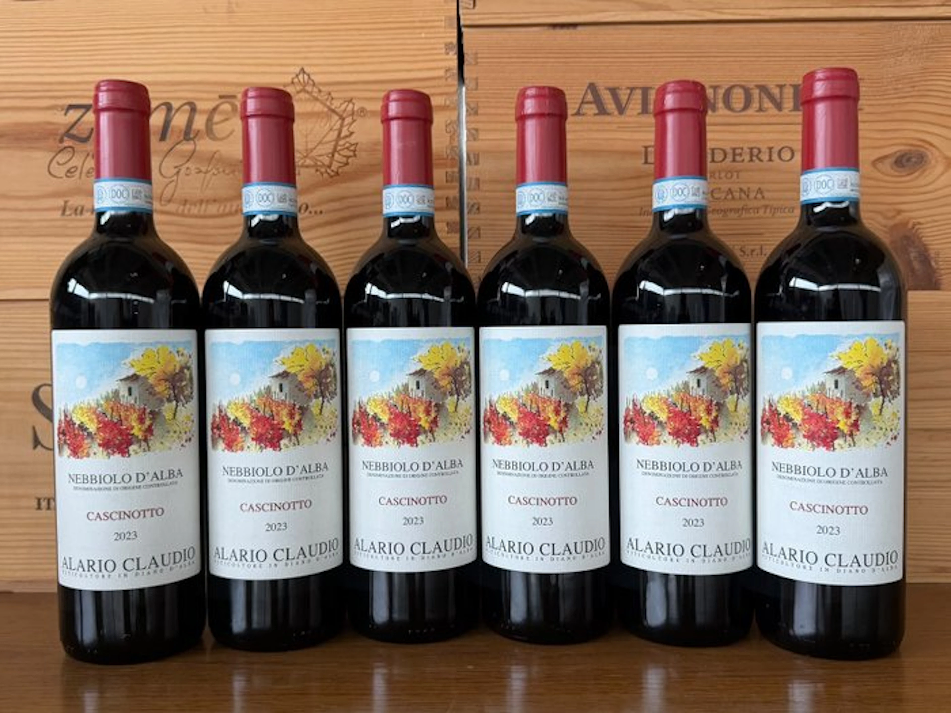 2023 Alario Claudio Nebbiolo d'Alba Cascinotto - Piedmont - 6 Bottles (0.75L)