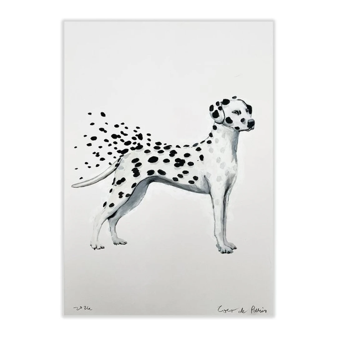 Coco de Paris - Dalmatian in the storm