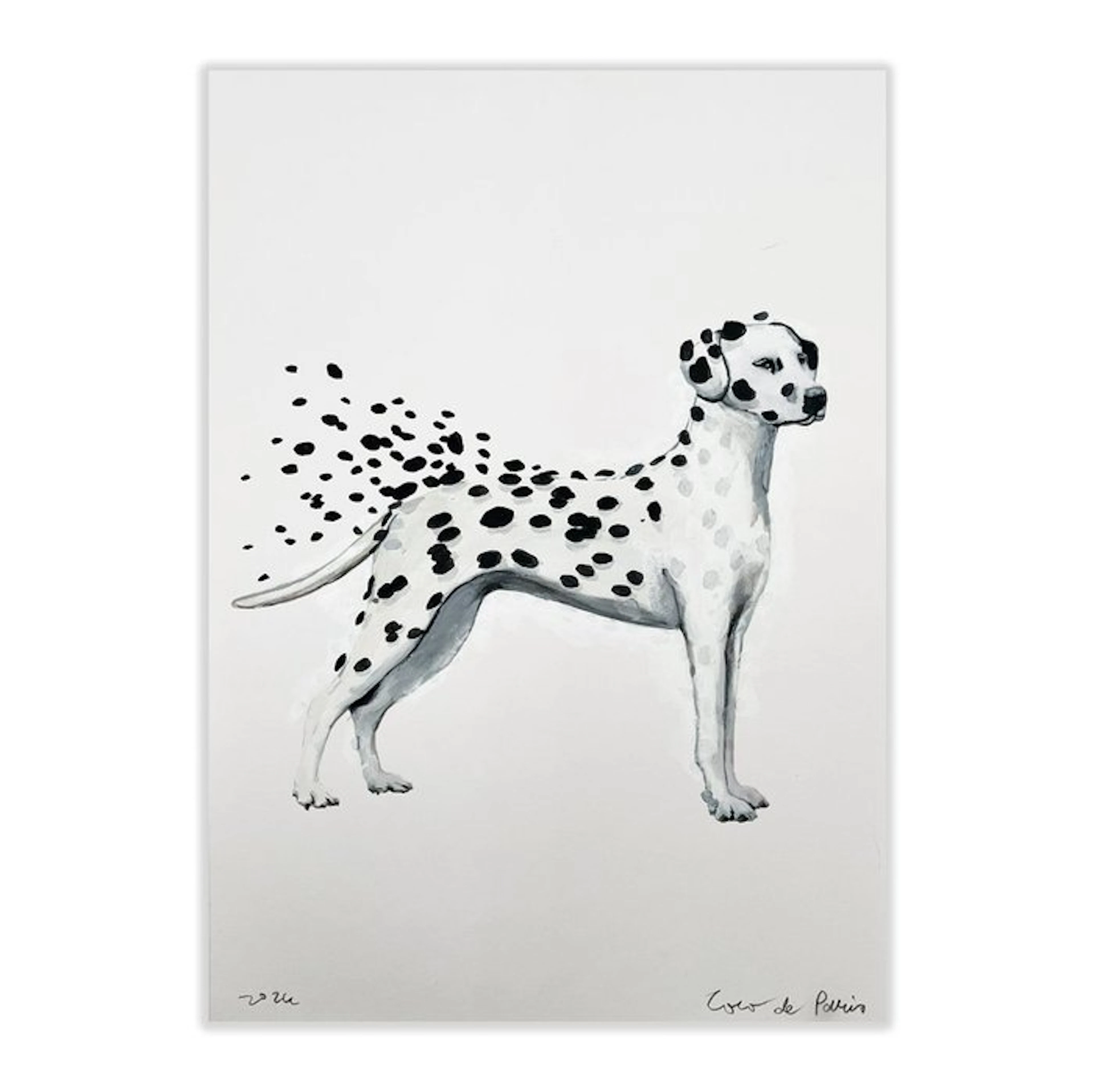 Coco de Paris - Dalmatian in the storm