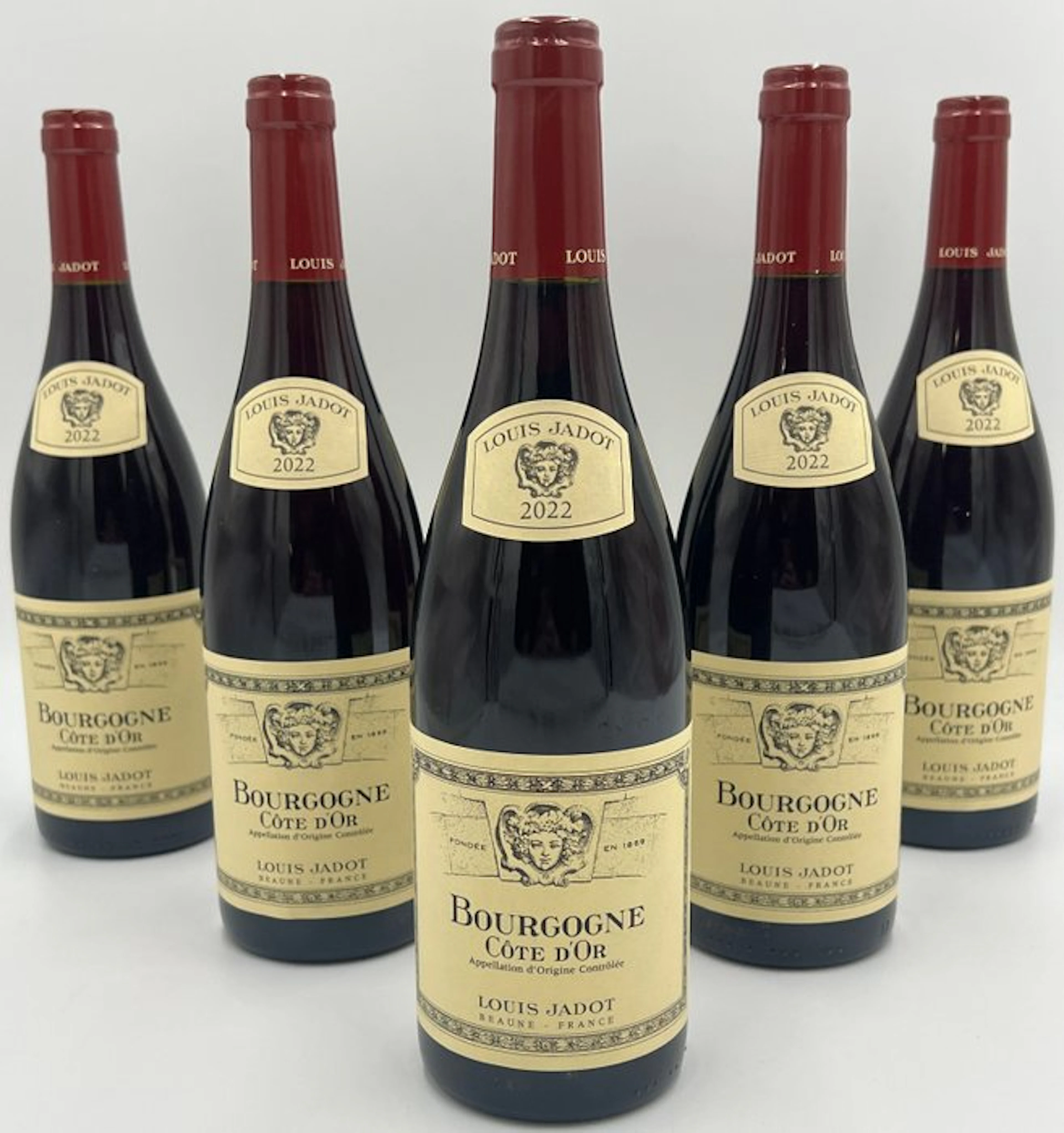 2022 Louis Jadot - Burgundy Côte-d'Or - 6 Bottles (0.75L)
