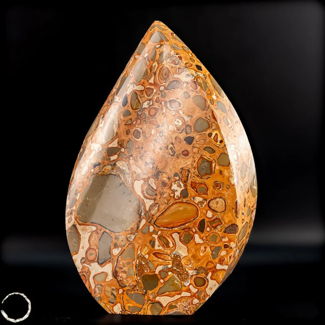 Leopard Jasper Freeform – Earth connection and natural...