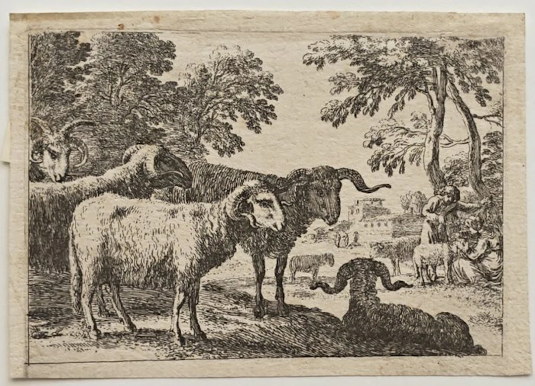 Herman van Swanevelt (c. 1600 - 1655), attribuita - Pecore d'Angora e pastori