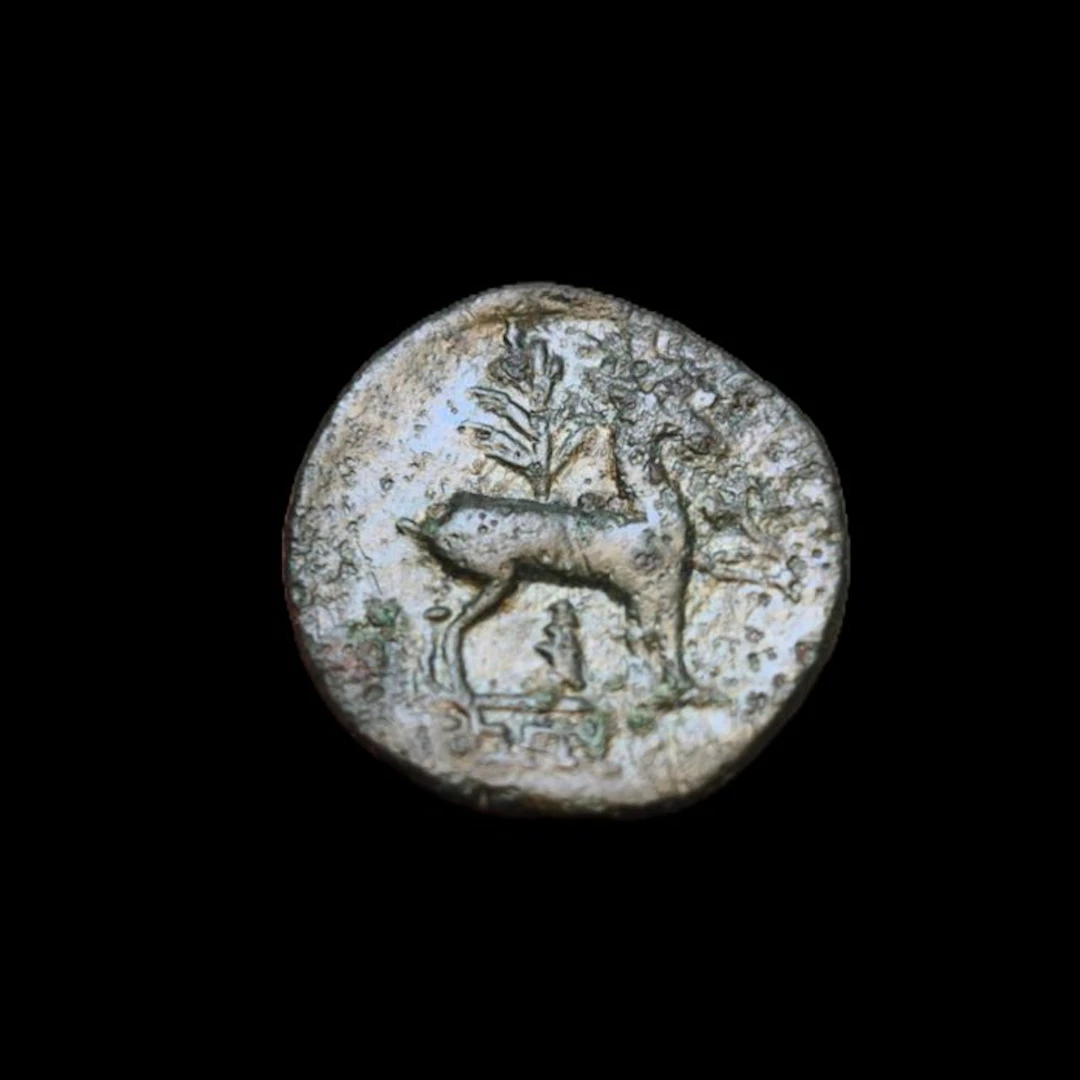 Ionia, Ephesos Æ Circa 2nd Century BC. Bee/ Stag Palm (No reserve price)