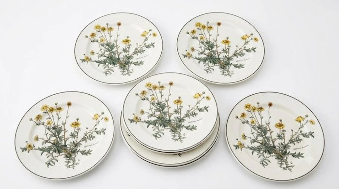 Villeroy & Boch - Dinner plate (6) - Botanica...