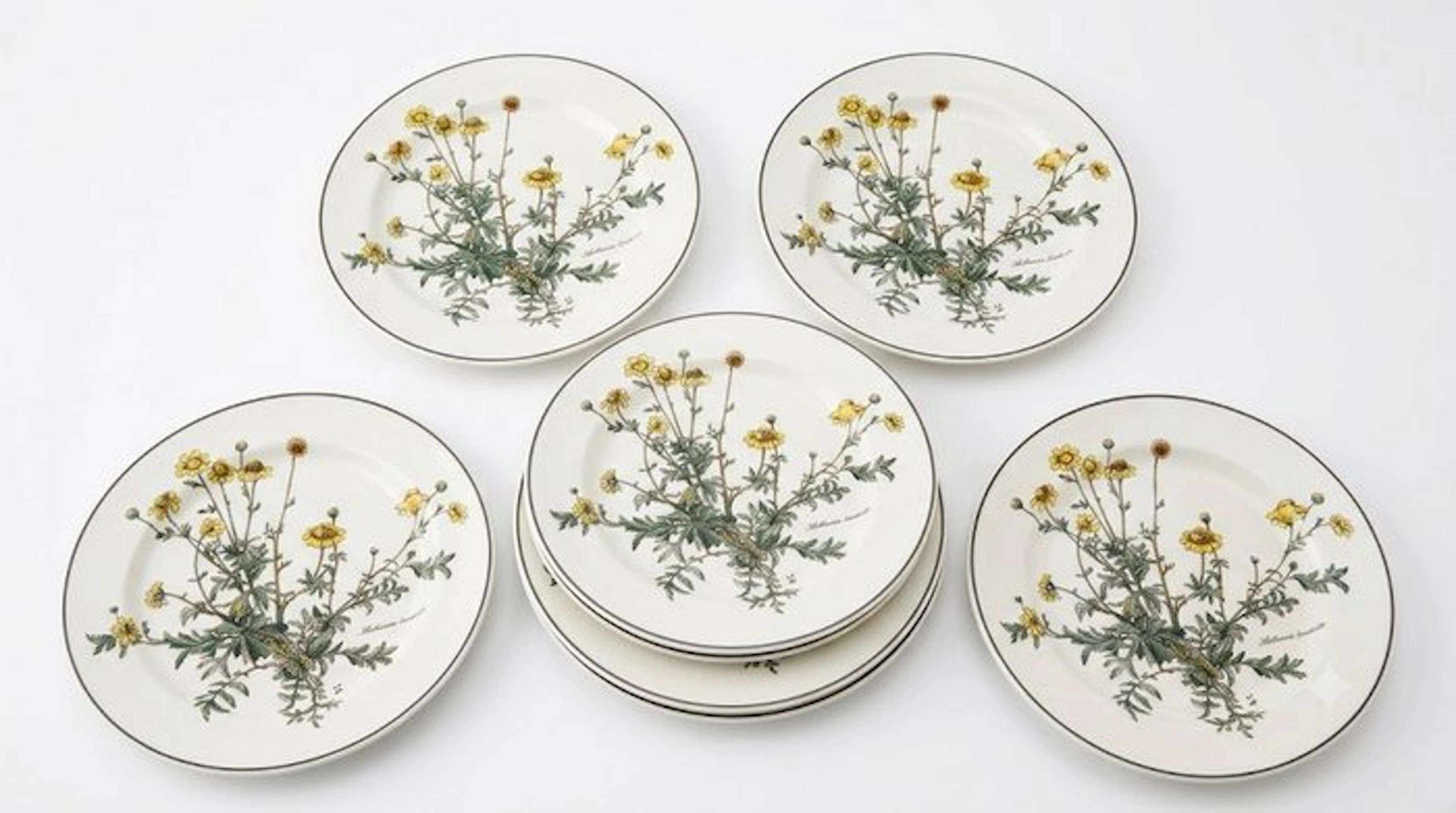 Villeroy & Boch - Dinner plate (6) - Botanica...