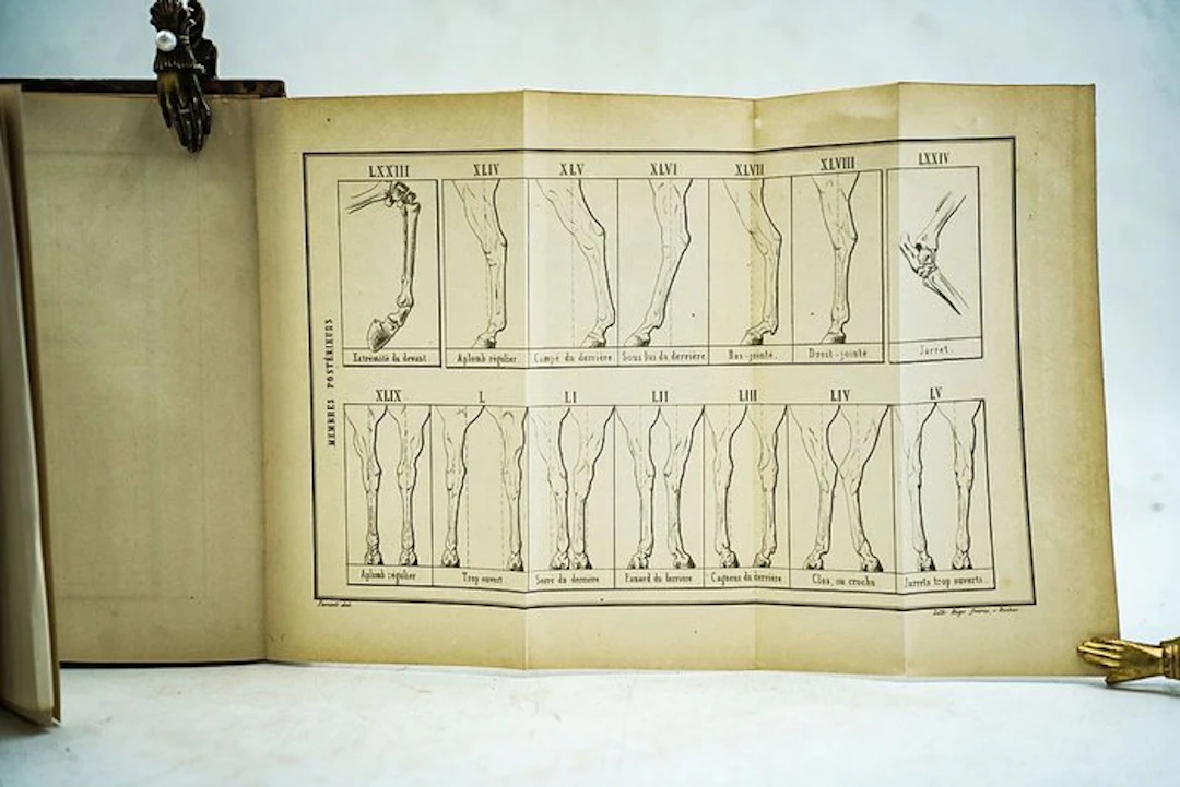 A. C. M. Parisot - Traité d'équitation sur des bases géométriques - 1843