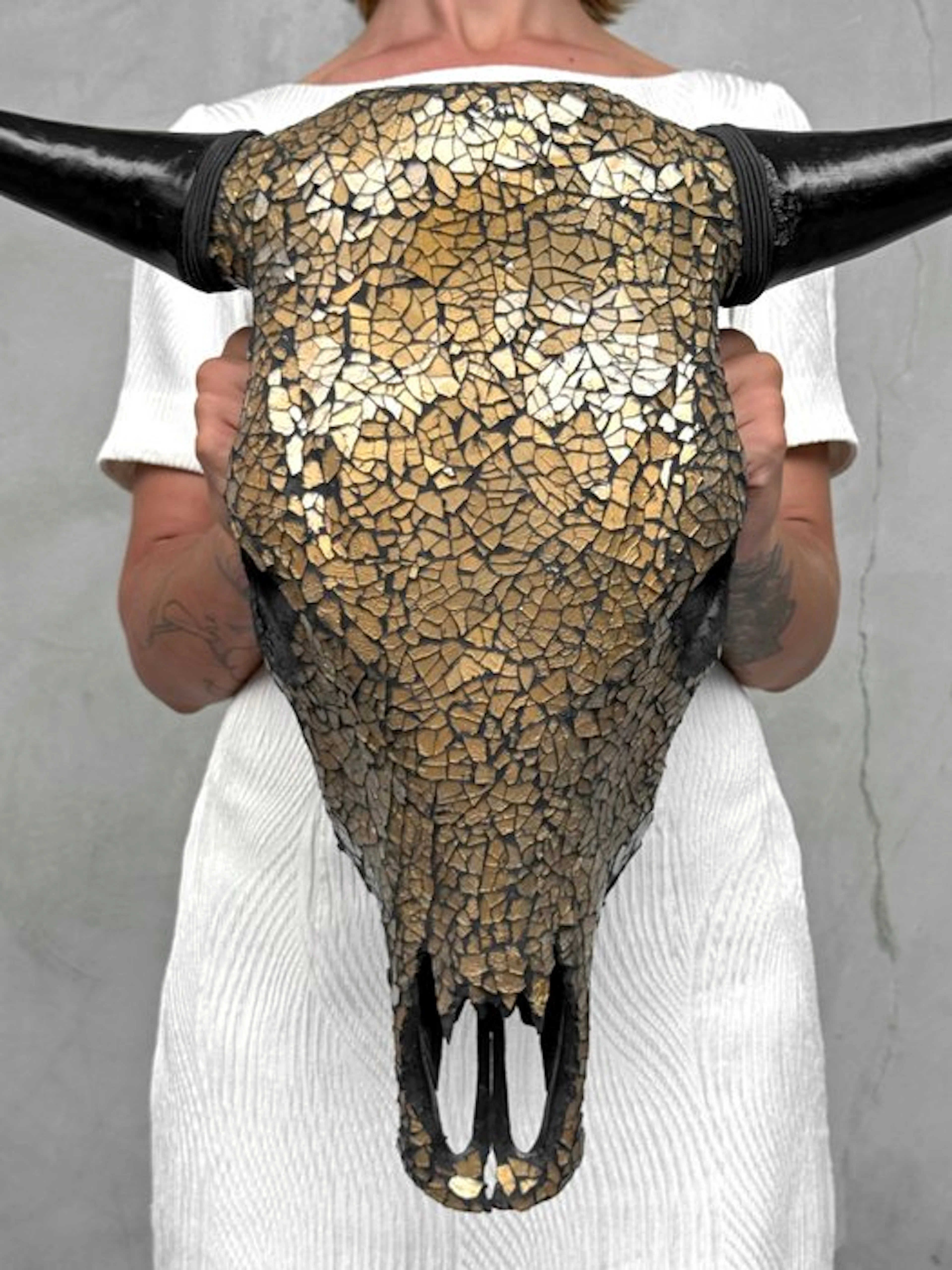 NO RESERVE PRICE - Authentic Large Bull Skull with Glass...