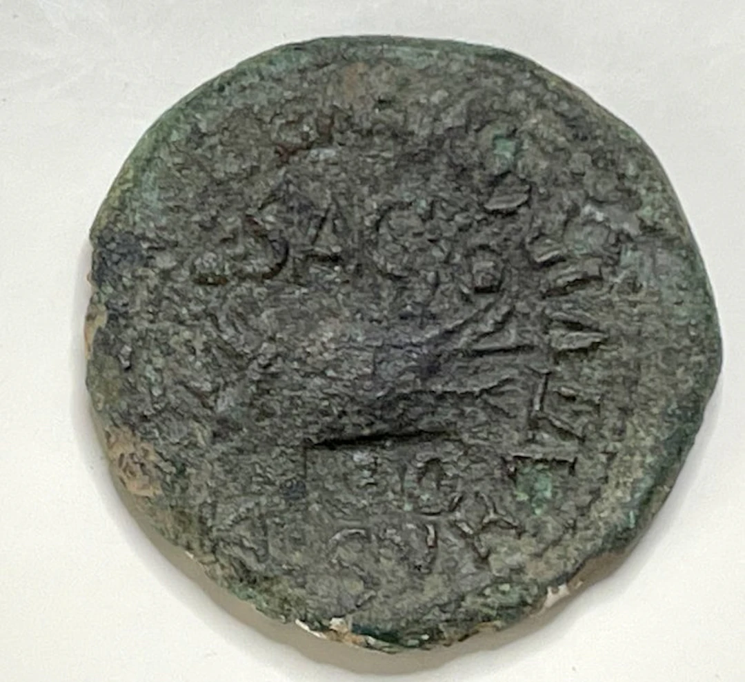 Roman Empire (Provincial). Tiberius (AD 14-37). As Hispania, Saguntum