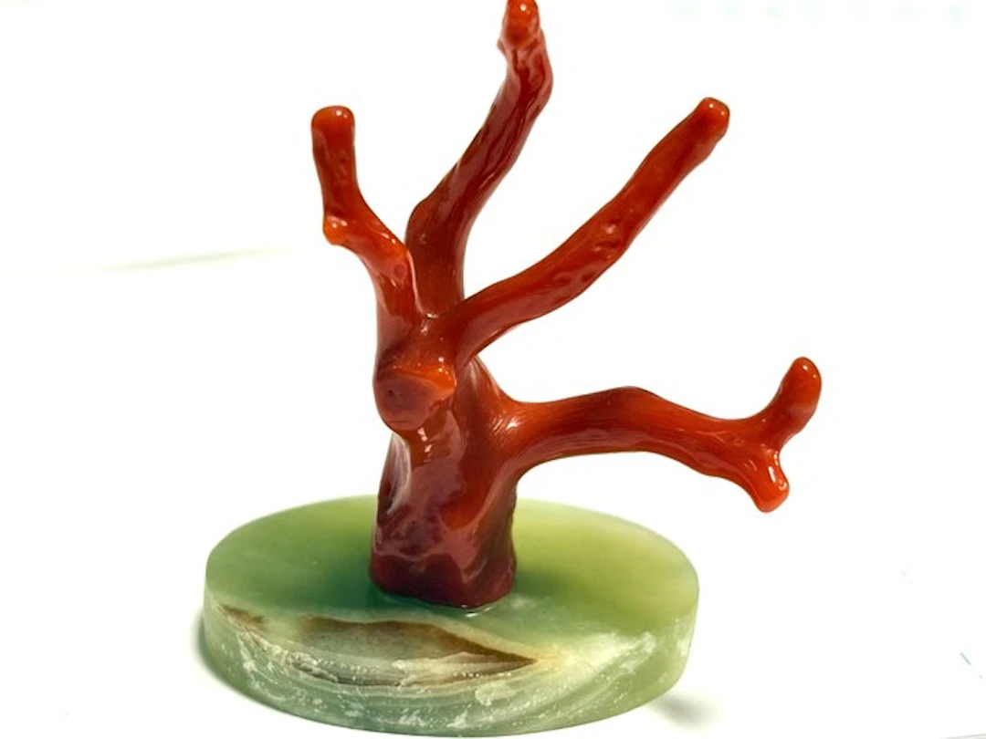Coral Coral - Coral rubrum (No reserve price)