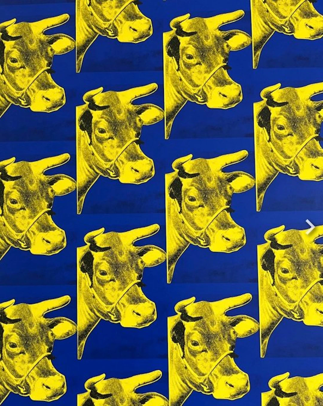 Andy Warhol (1928-1987) (after) - Cow (Kuh)