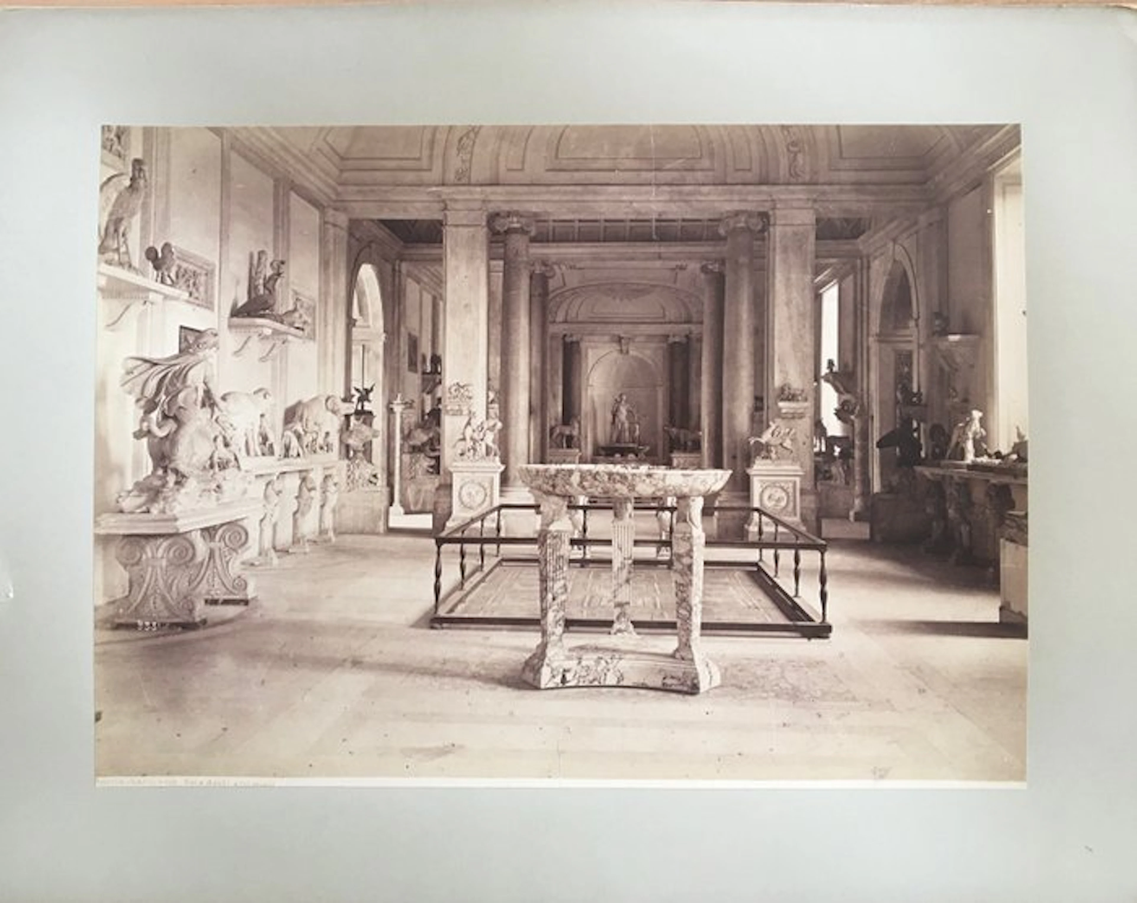 . - Roma - Vaticano. Sala degli animali - large albumine print (37x26,5 cm)