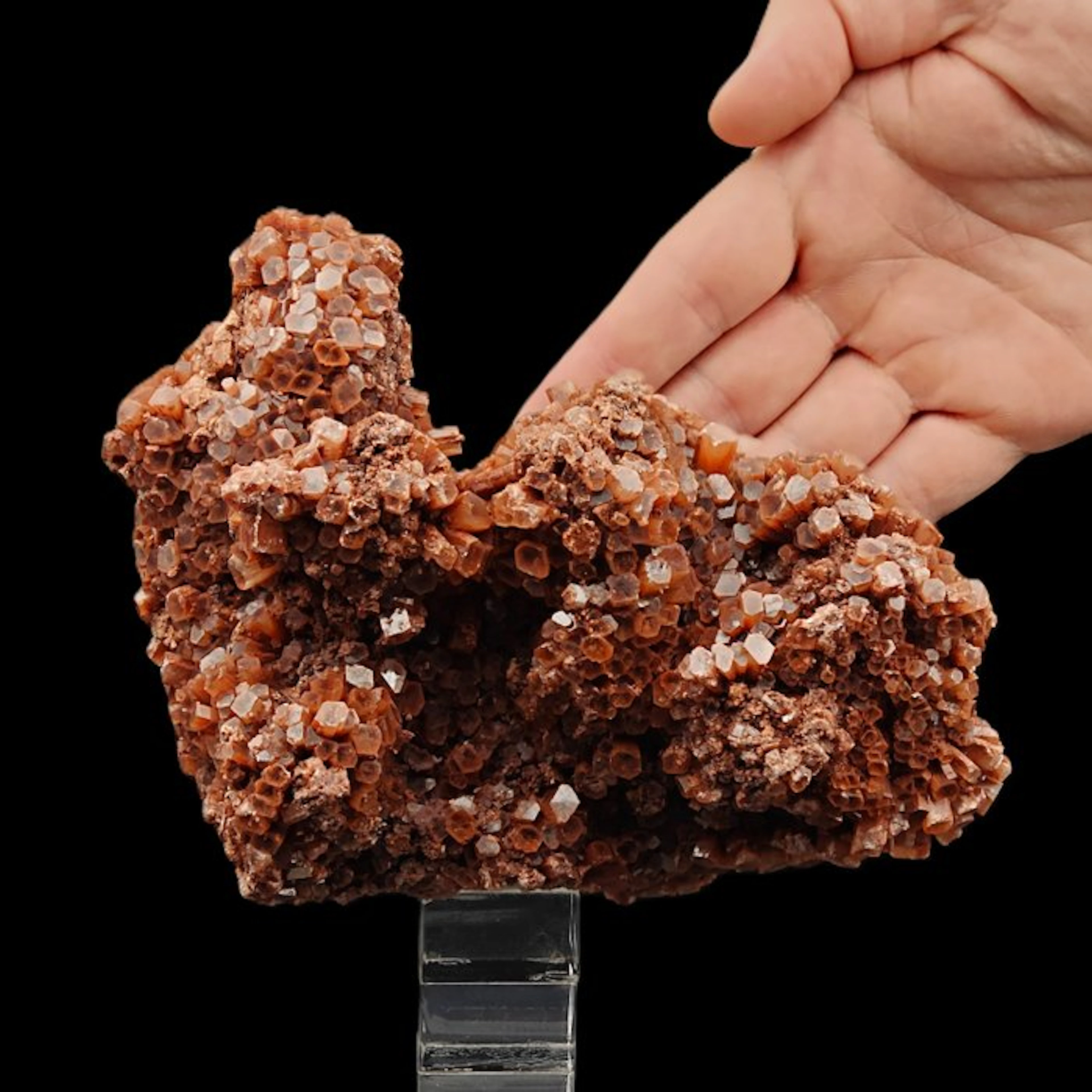 Large cluster of red hexagonal aragonite Crystals on...