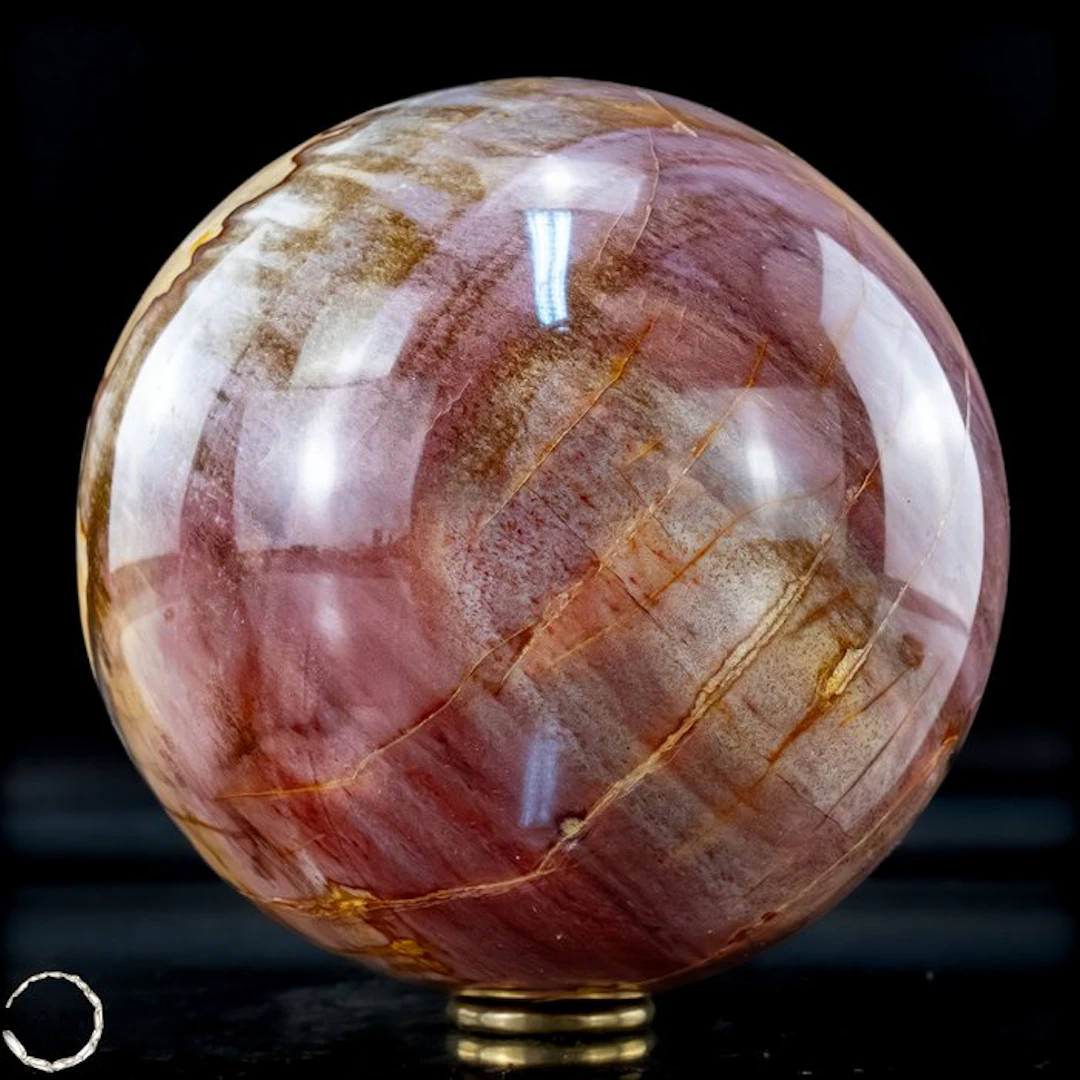 Natural fossilized wood ball – Rare petrification with warm