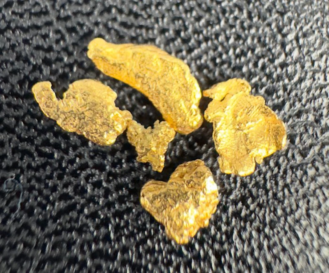Gold Nugget- 0.35 g - (5)