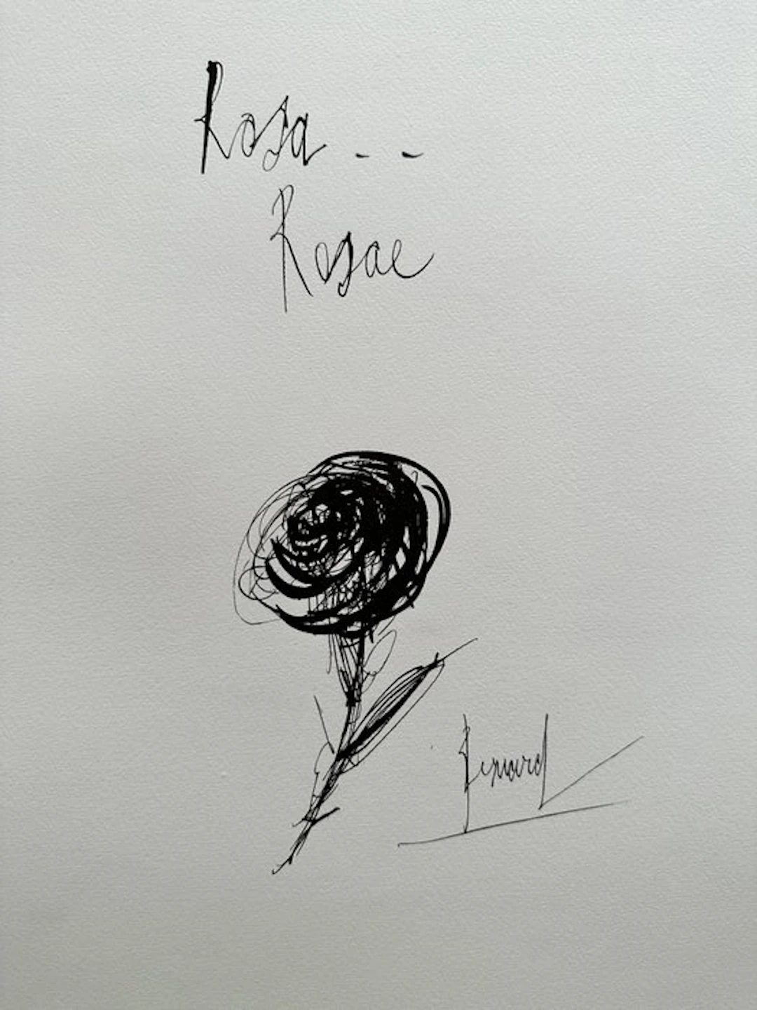 Bernard Buffet (1928-1999) - Rosa..Rosae