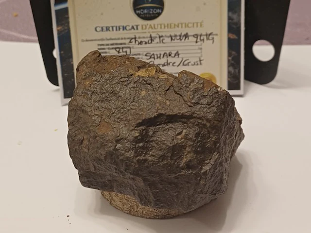 NO RESERVE!! Oriented chondrite NWA 241G with fusion...
