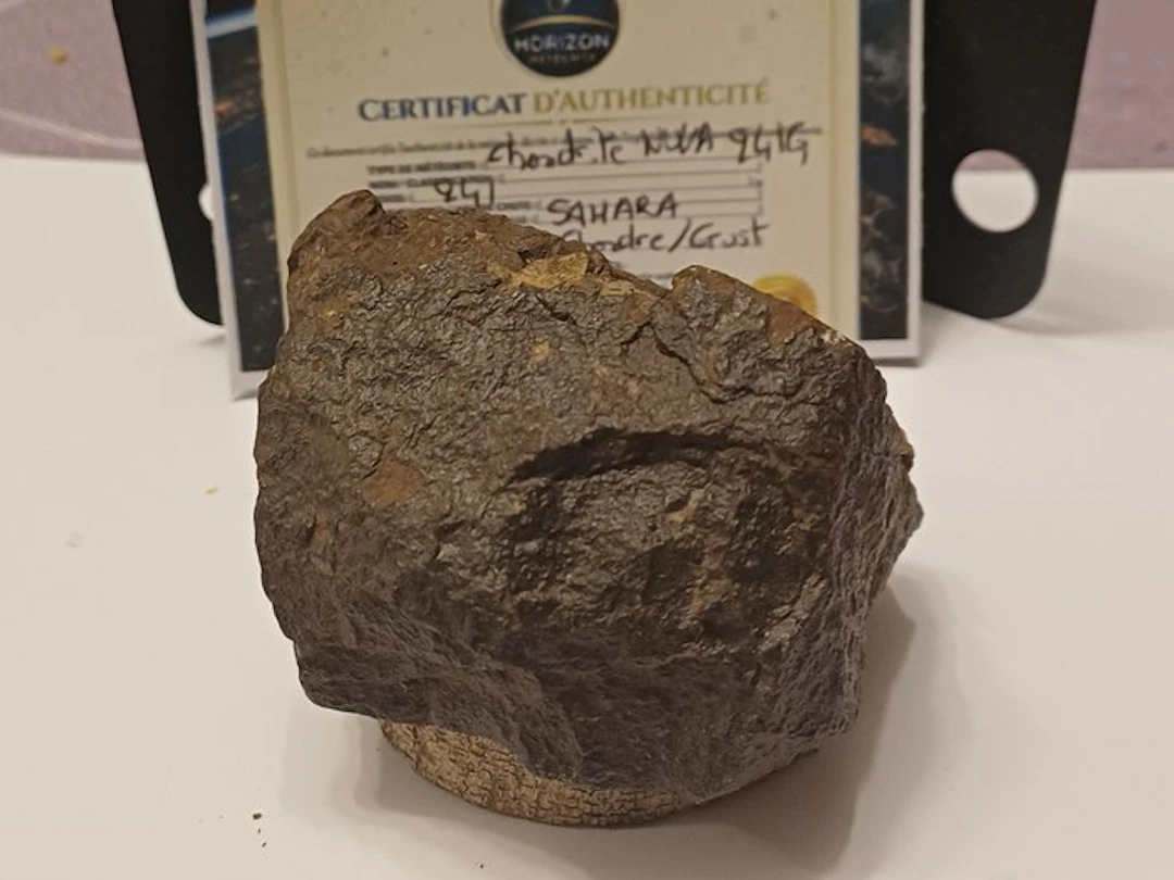NO RESERVE!! Oriented chondrite NWA 241G with fusion...