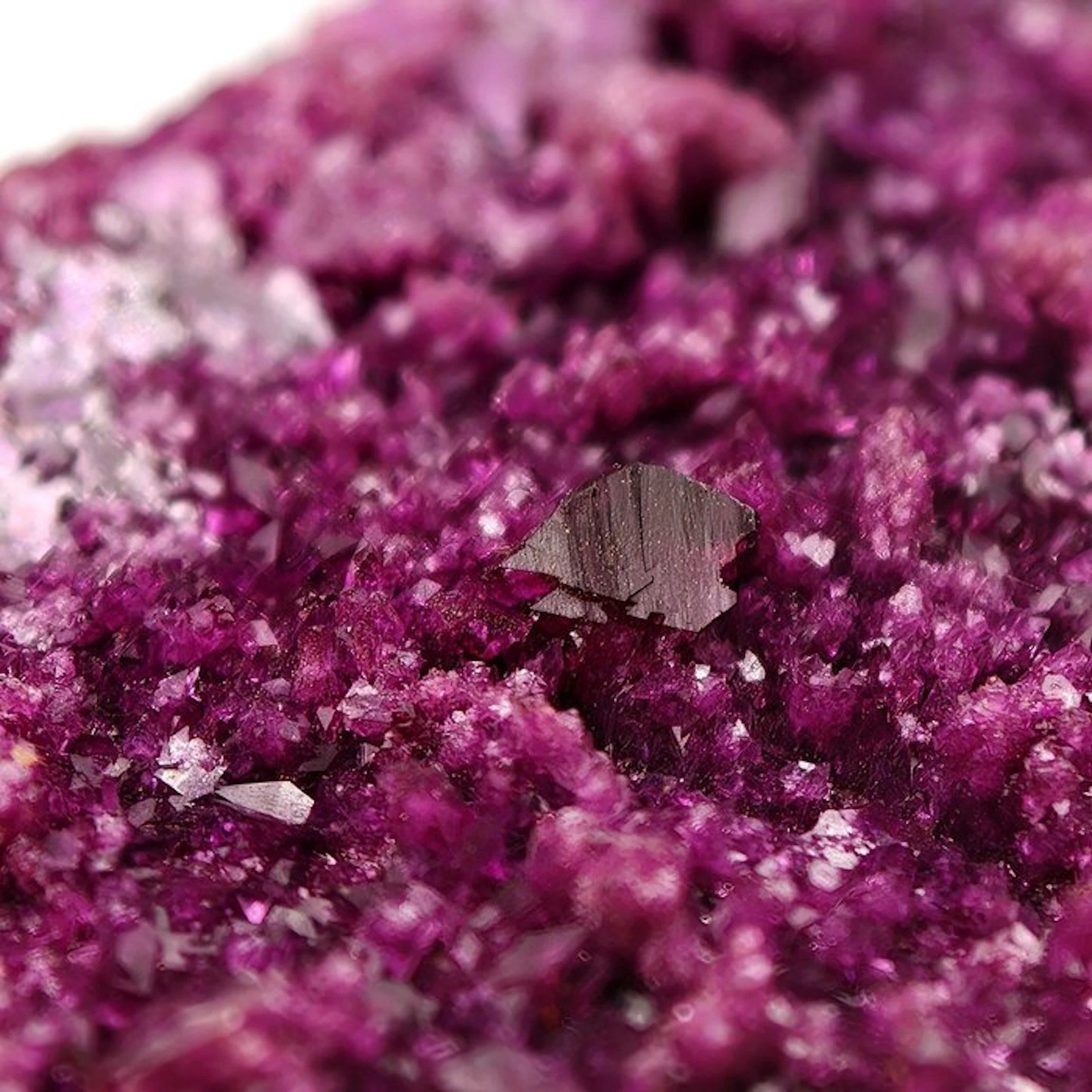 Kammererite Purple
