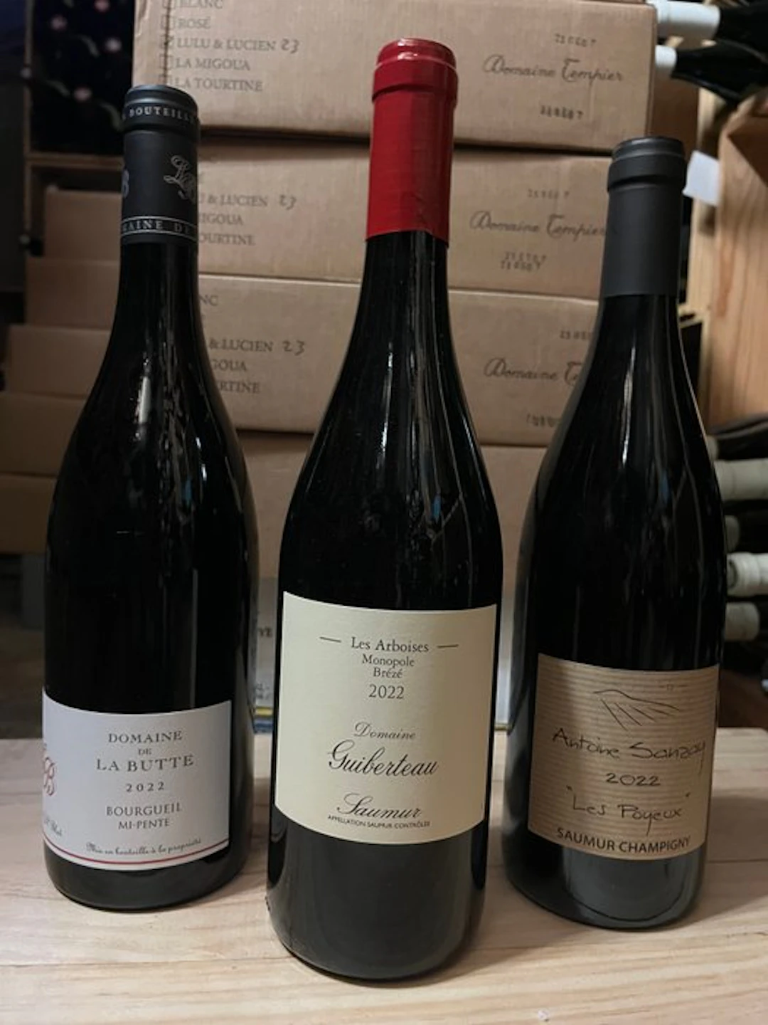 2022 Domaine Guiberteau "Les Arboises Brézé"