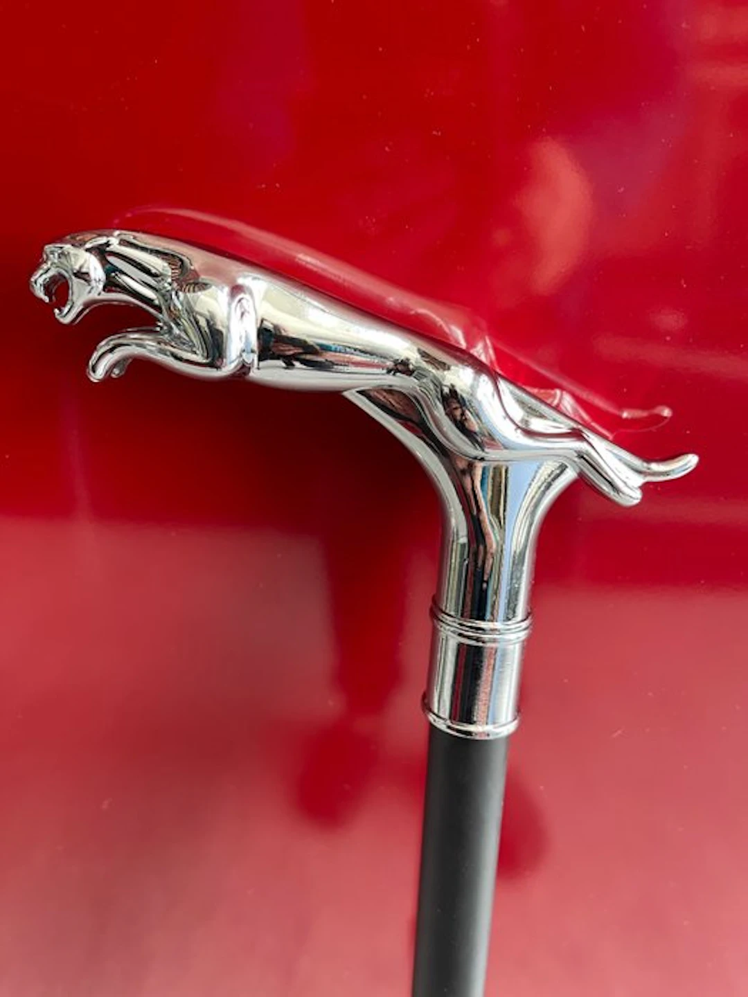Artwork - Jaguar - Walking Stick Newest Luxe BIGGER edition spring - 2024