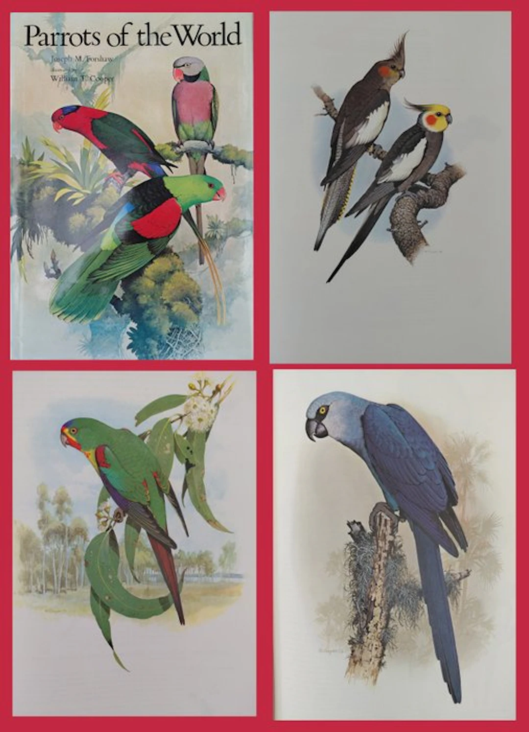 Joseph Forshaw/William Cooper - Parrots of the World (1st signed edition)