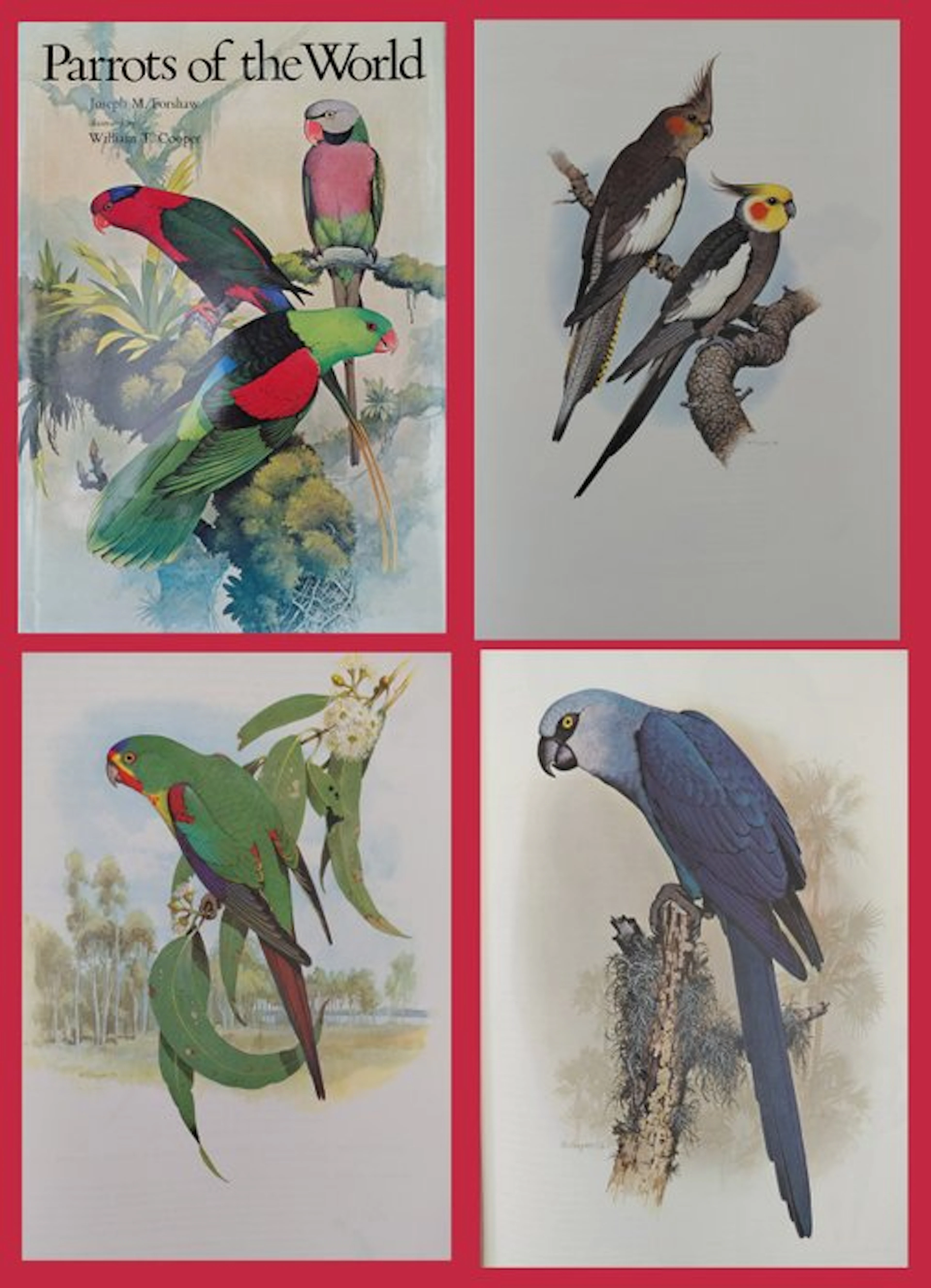 Joseph Forshaw/William Cooper - Parrots of the World (1st signed edition)