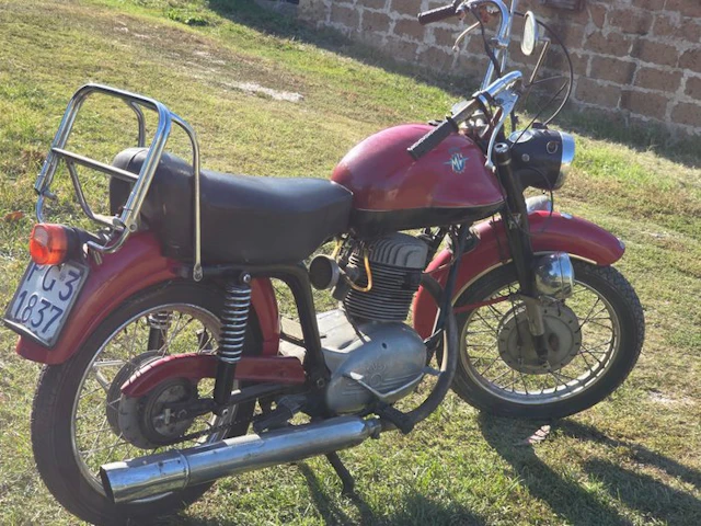 MV Agusta - Turismo - NO RESERVE - 175 cc - 1954