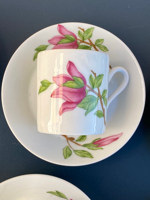 Richard Ginori - Coffee set for 6 (13) - Porcelain - Magnolia