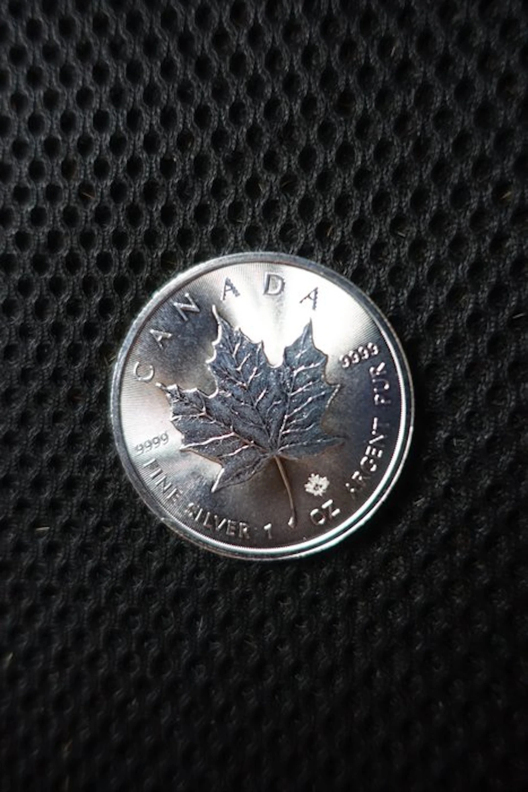 Canada. 5 Dollars 2019 (No reserve price)