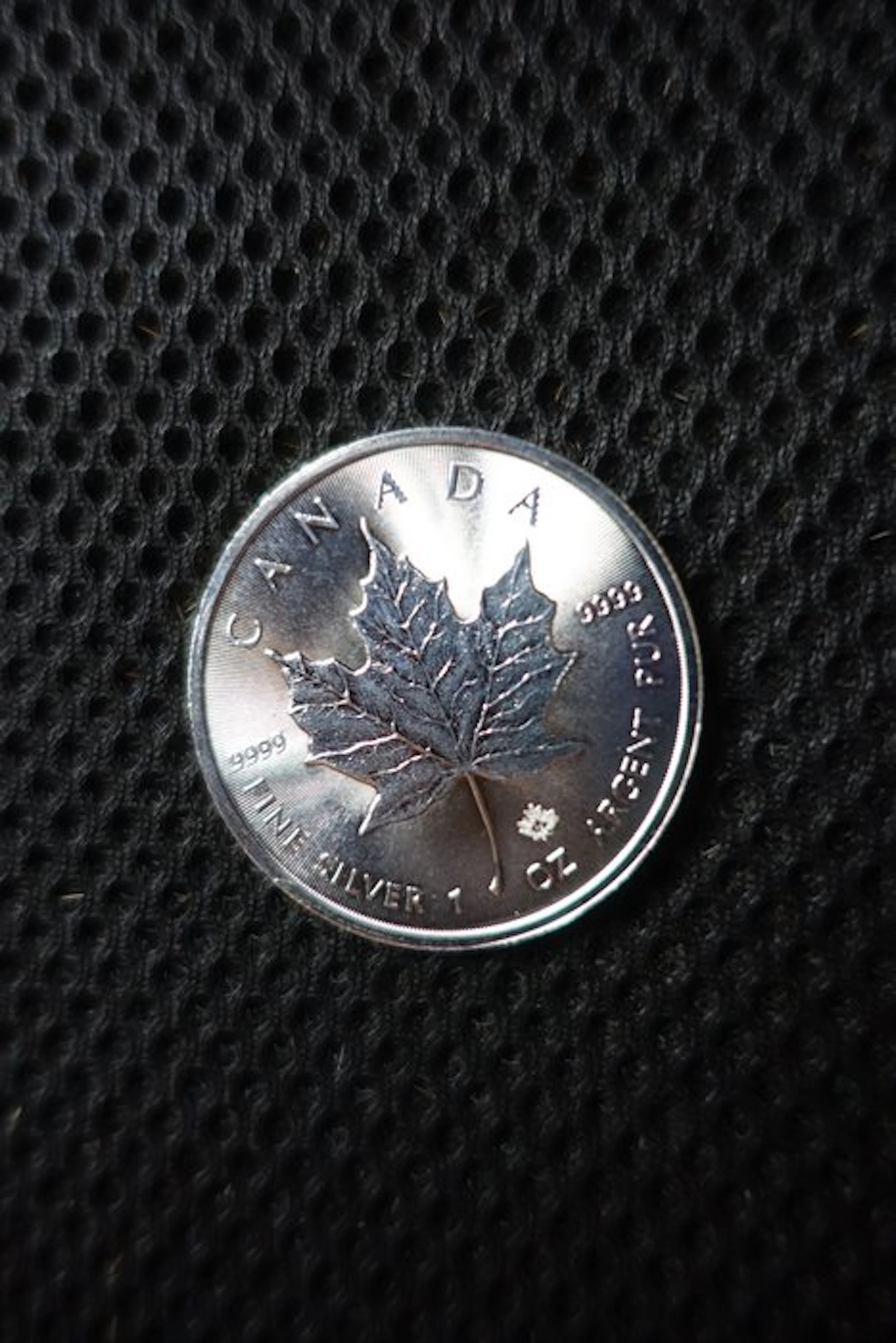 Canada. 5 Dollars 2019 (No reserve price)