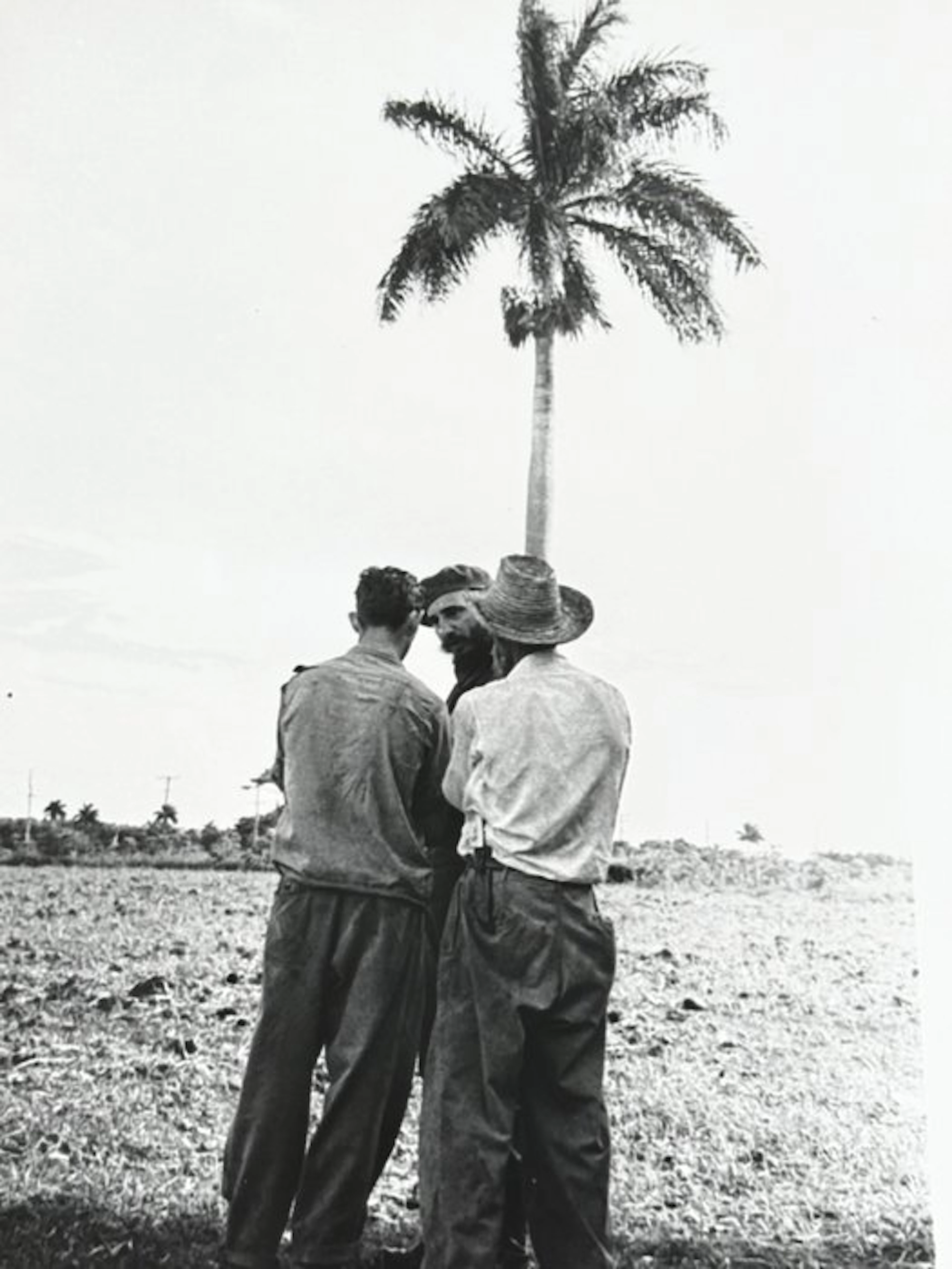 Alberto Korda (1928–2001) - Icónica imagen de Fidel...