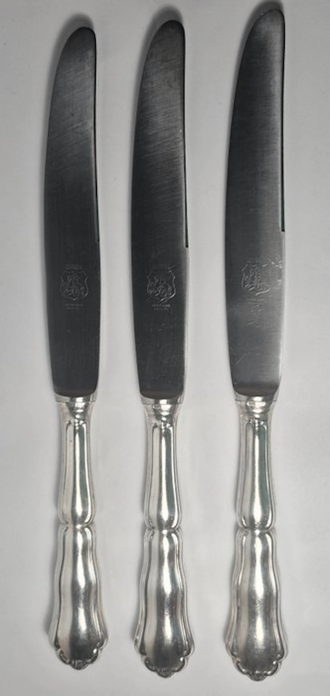 Set di 12 Coltelli da Tavola in Argento 800 e Acciaio...