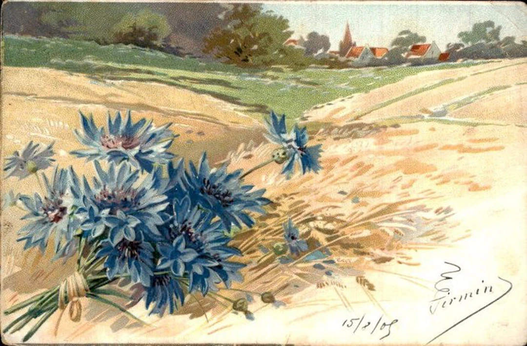 Flowers - Postcard (143) - 1900-1999