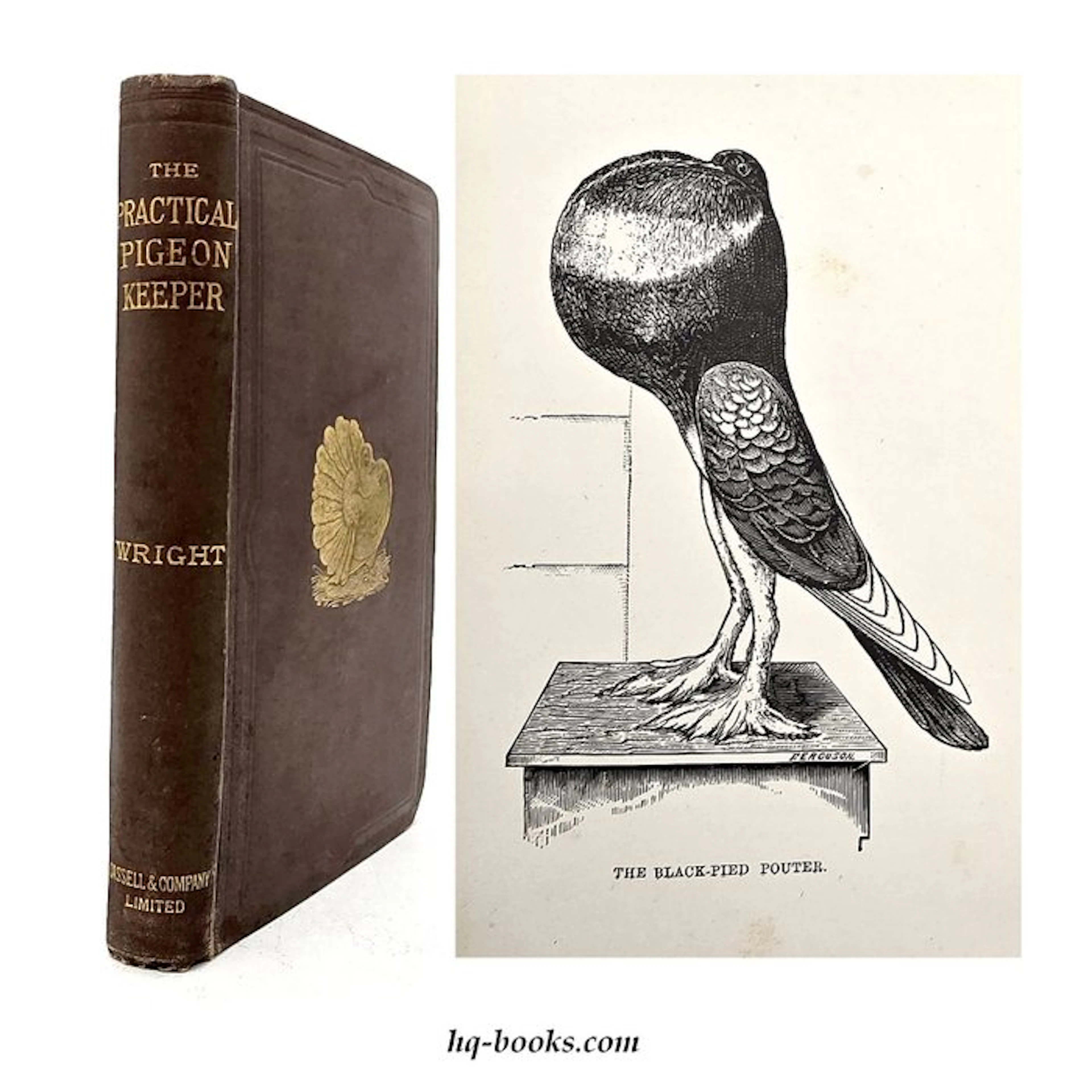 Wright - The Practical Pigeon Keeper - 1901